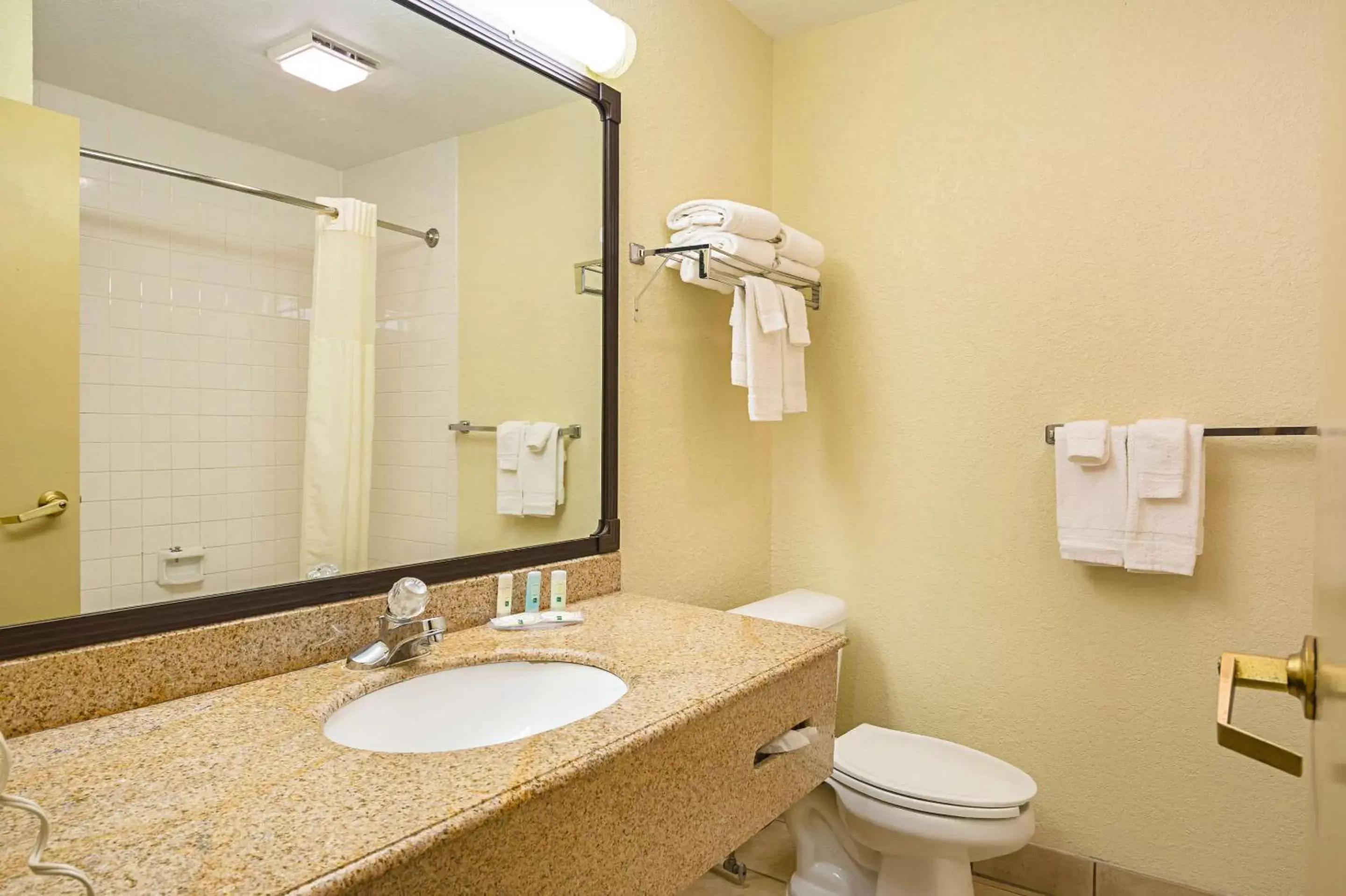 Bathroom in Quality Inn & Suites NRG Park - Medical Center