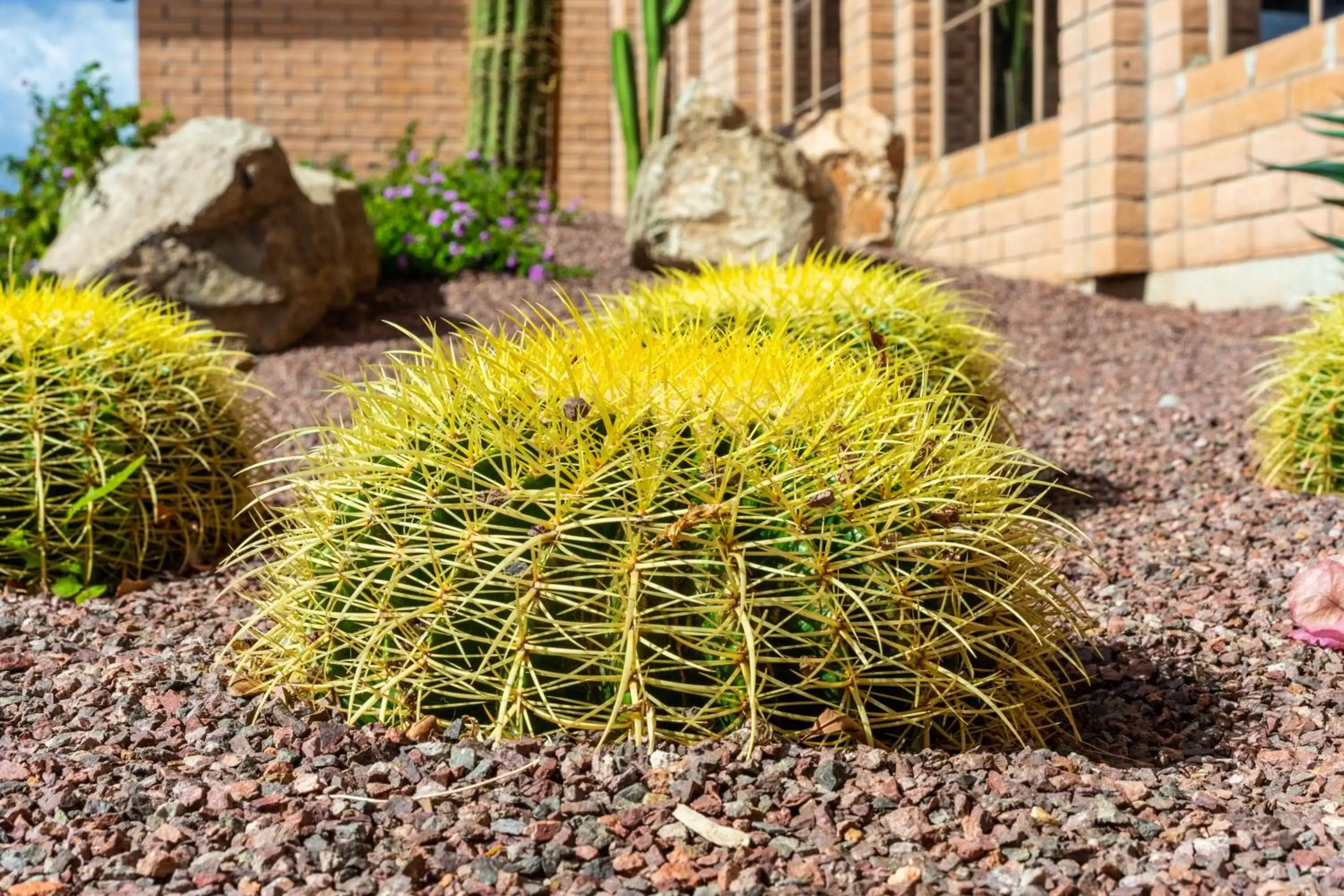 Natural landscape in Sierra Suites Boutique Hotel