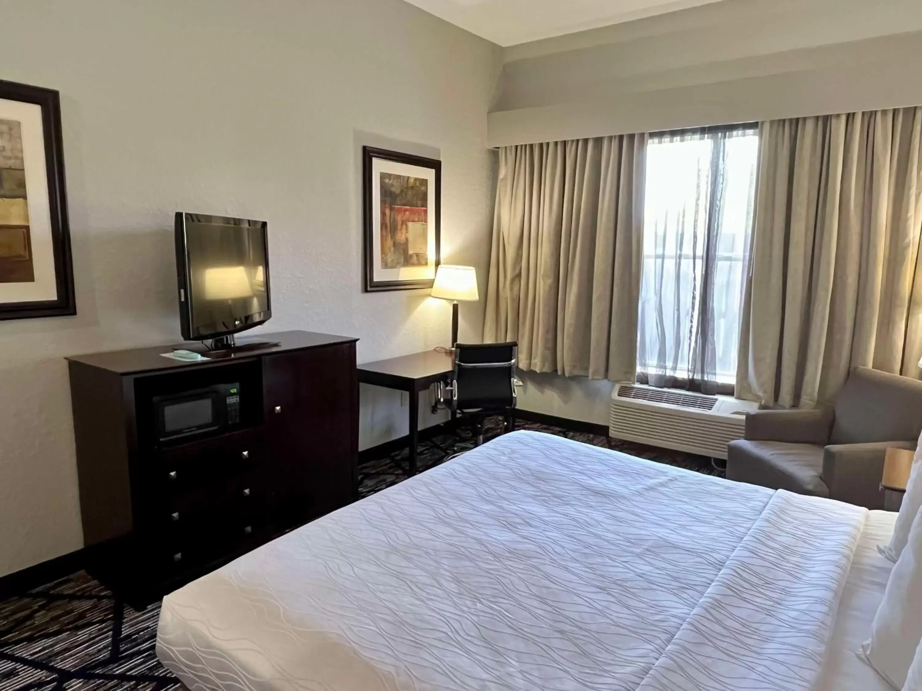 King Room - Non-Smoking in Best Western PLUS Hobby Airport Inn and Suites