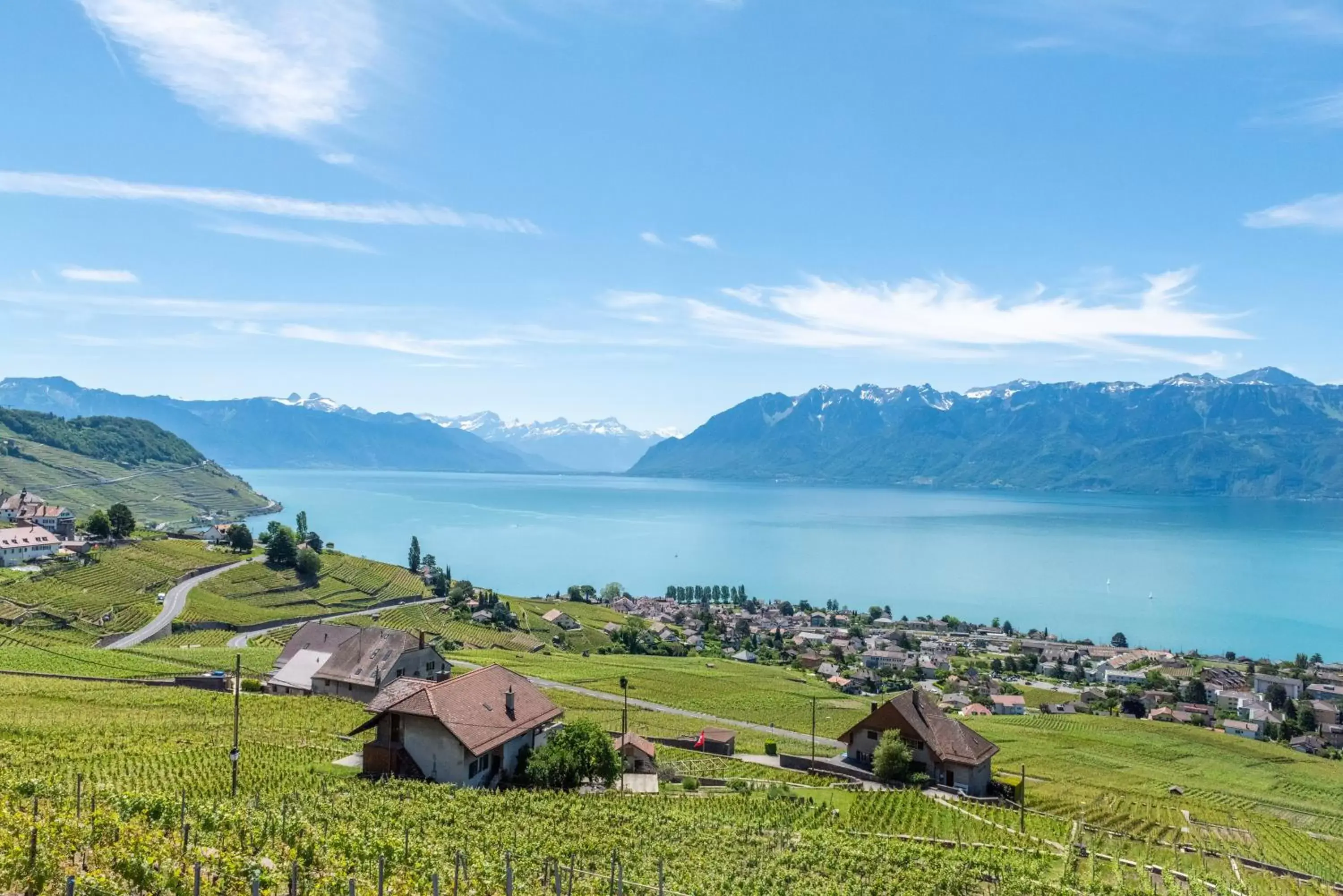 Natural landscape in Swiss Luxury Apartments