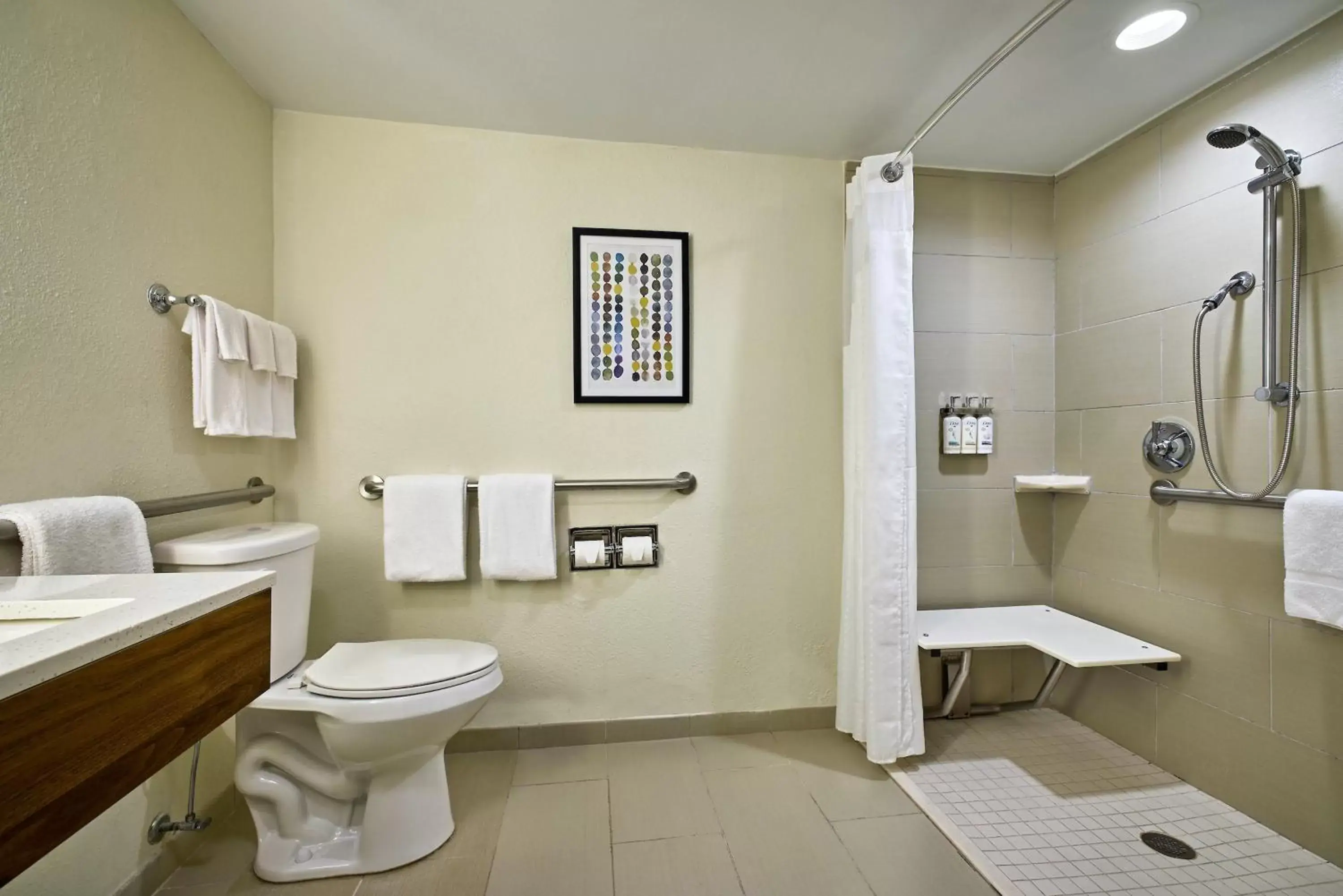 Photo of the whole room, Bathroom in Holiday Inn Express & Suites Charleston DWTN -Westedge, an IHG Hotel