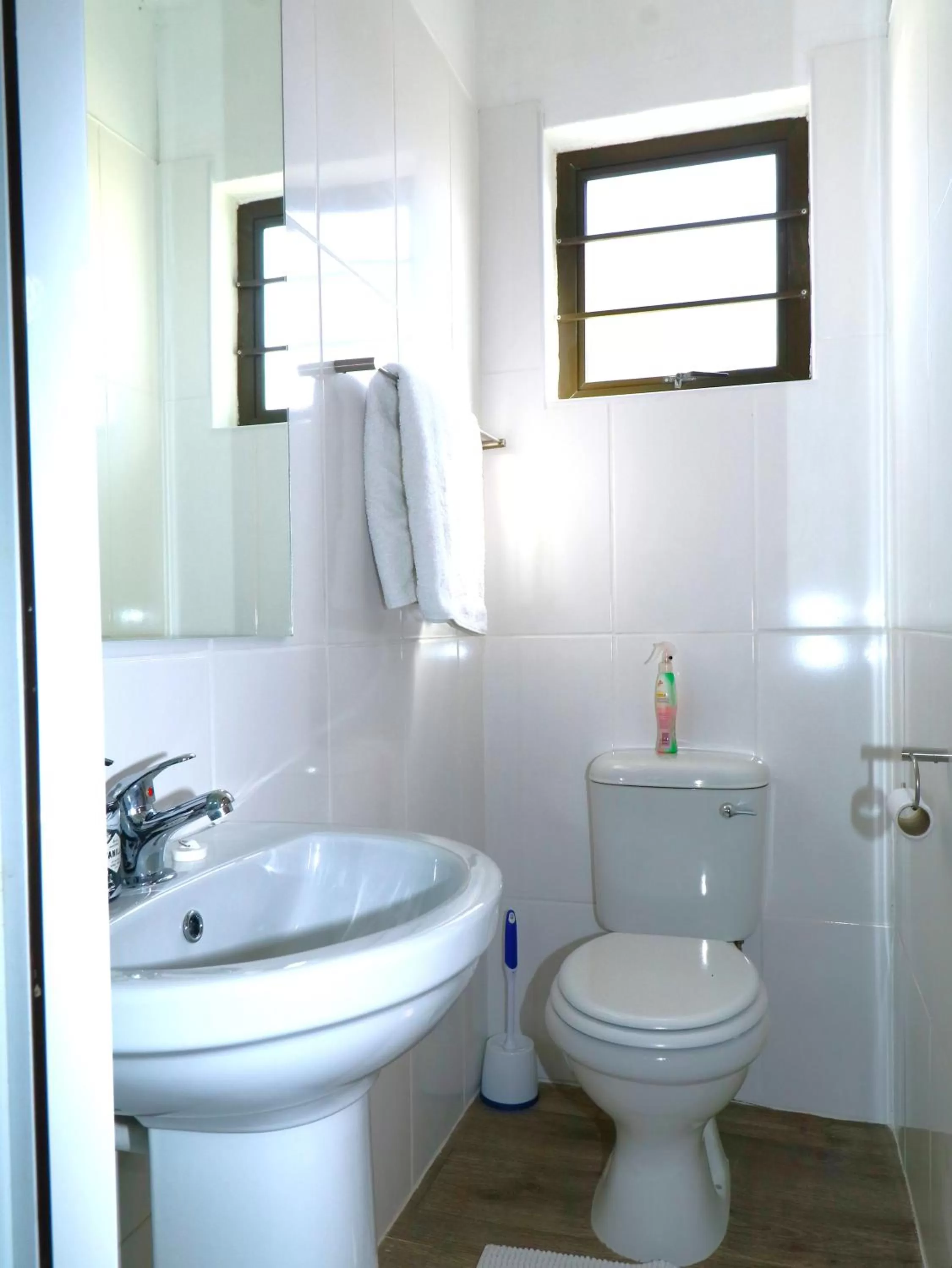 Toilet, Bathroom in Tiende Laan Bed & Breakfast and Self-Catering