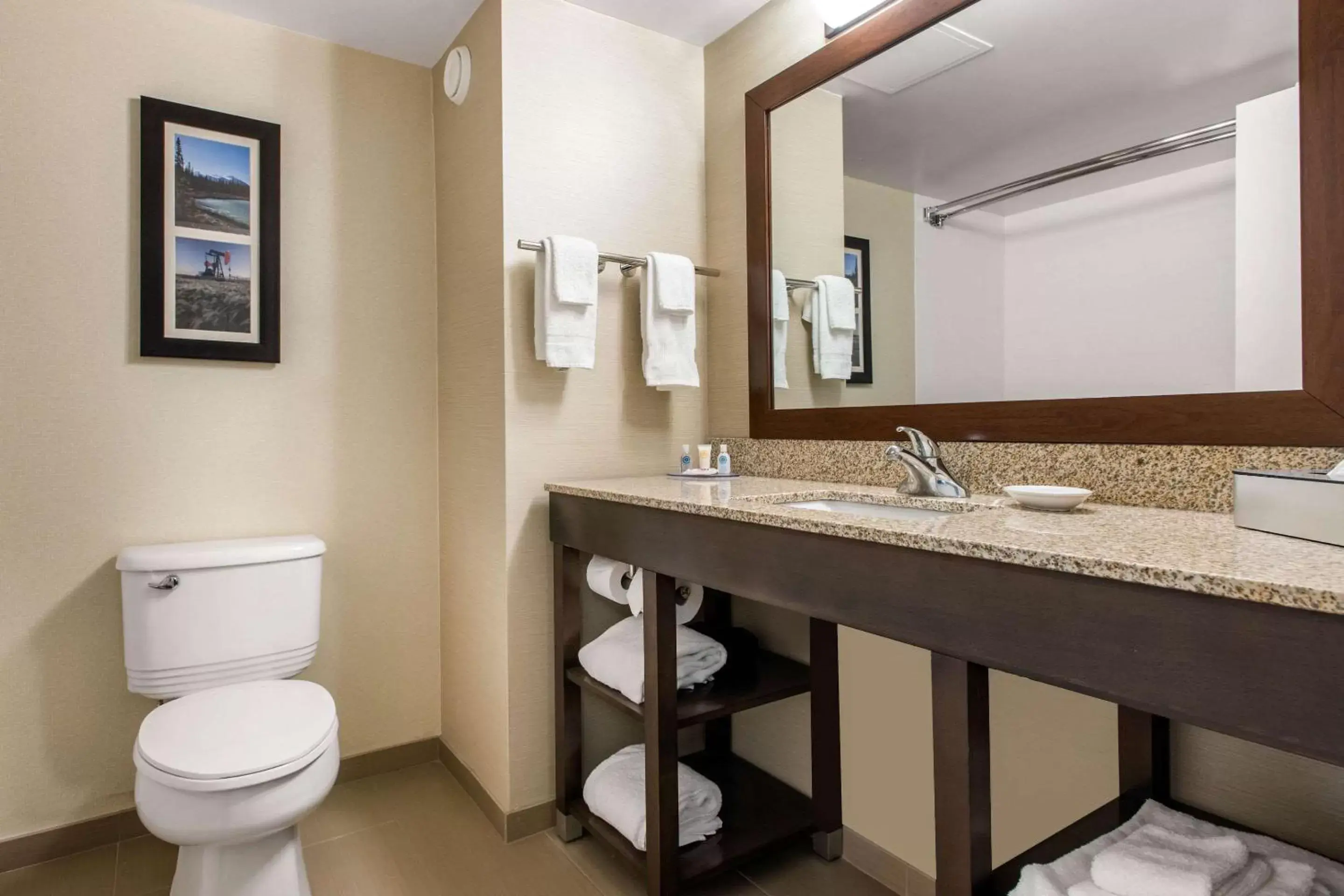 Bathroom in Comfort Inn & Suites Red Deer