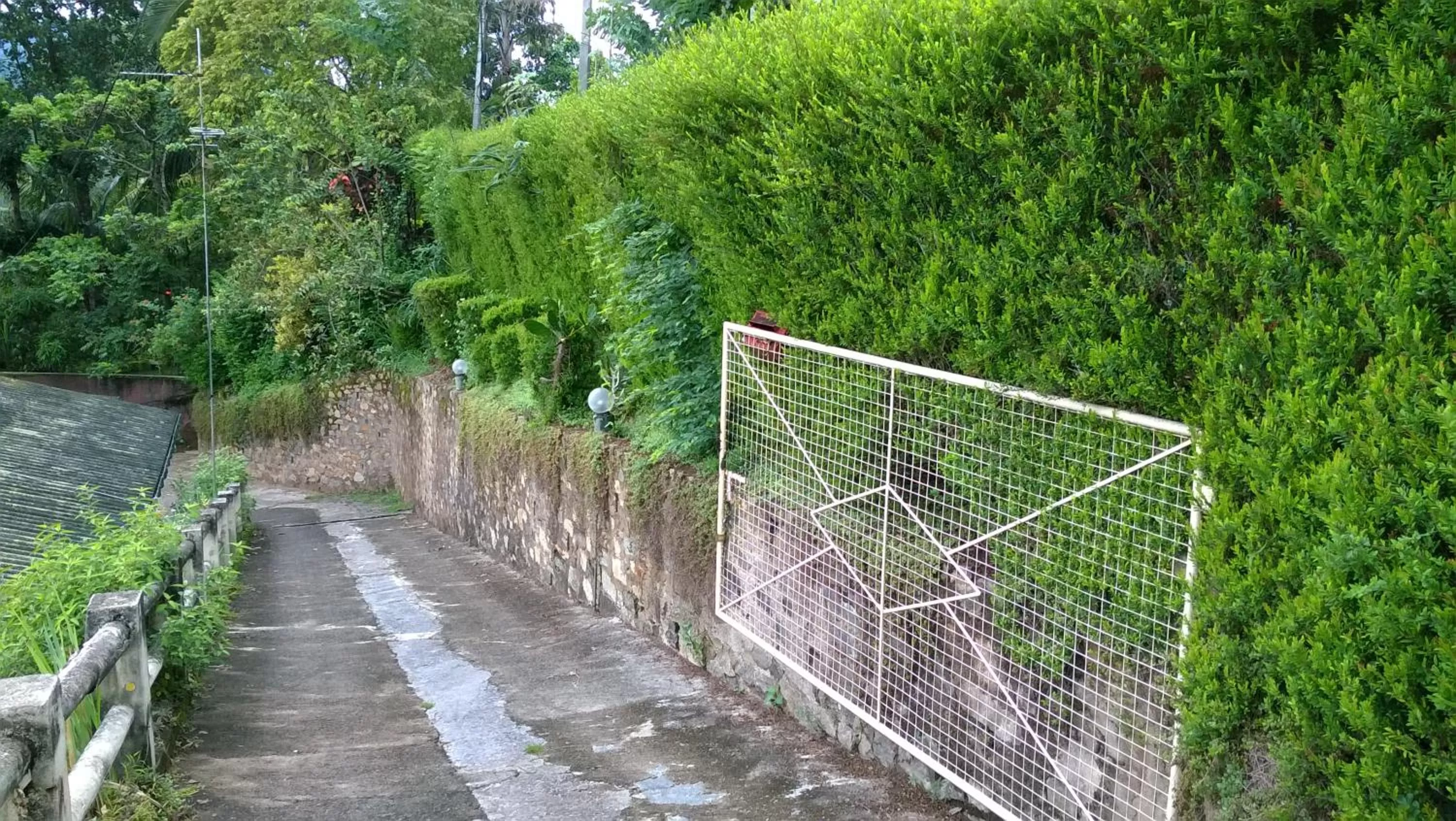 Facade/entrance in Evergreen