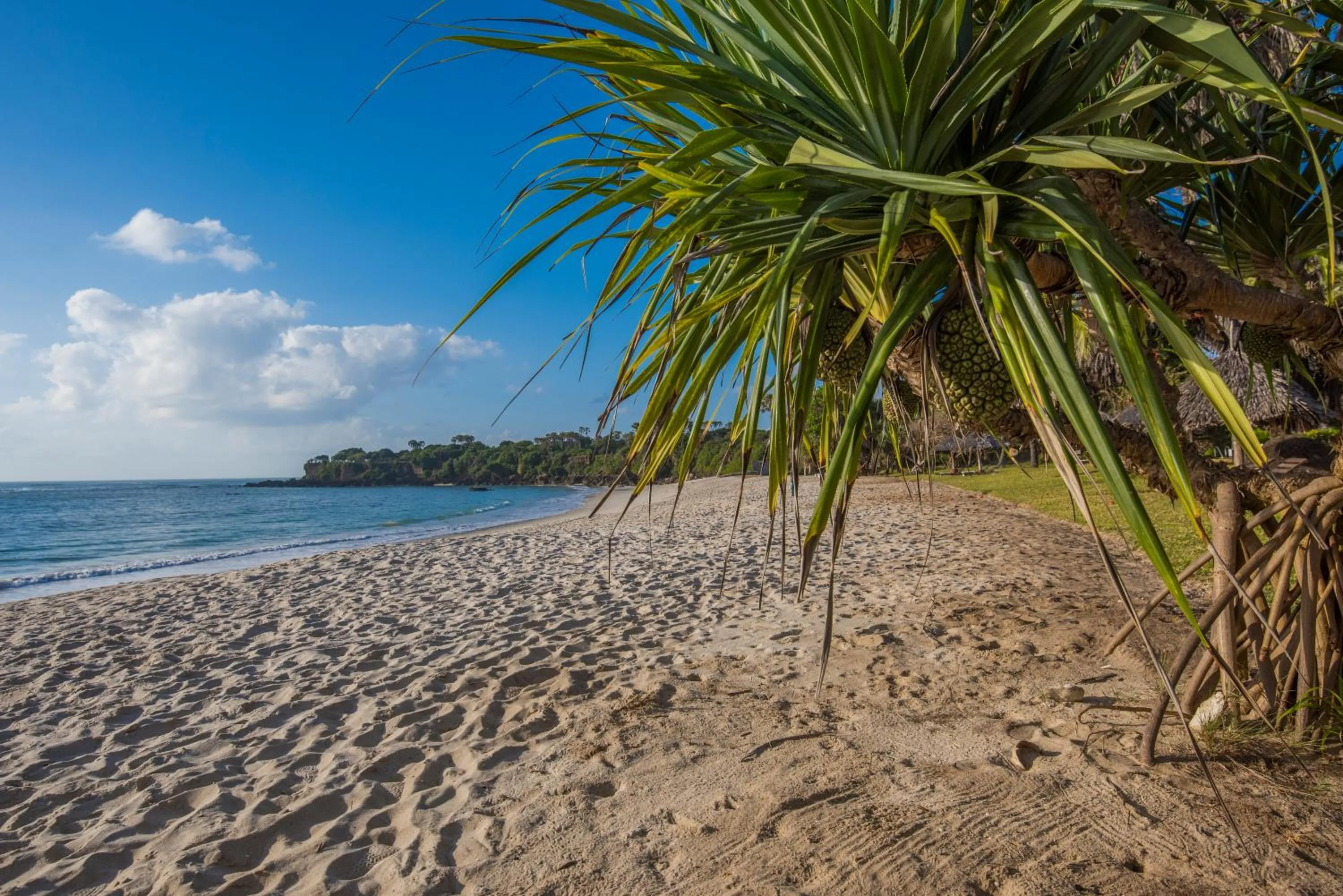 Beach in Amani Beach Resort
