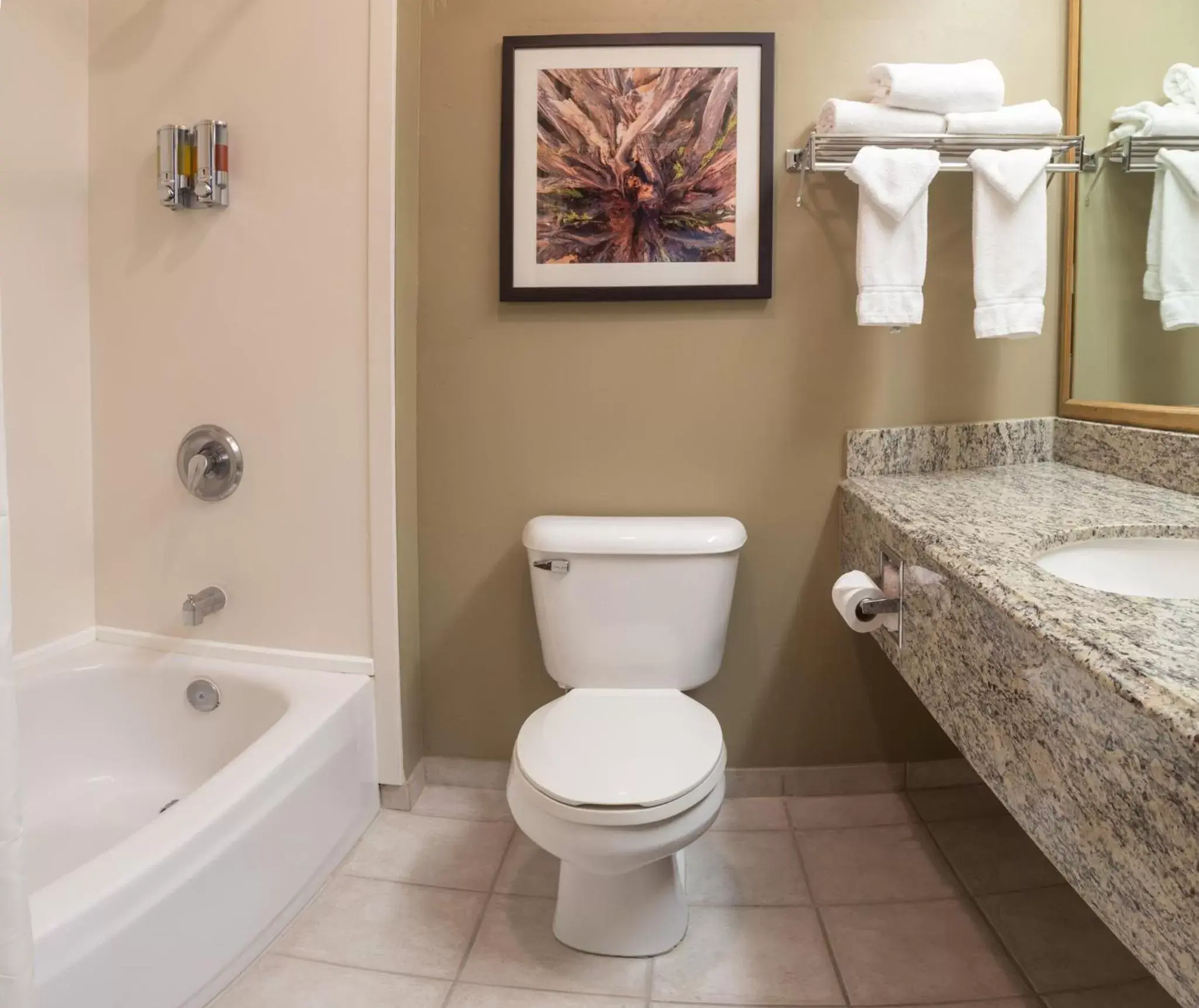 Bathroom in Gray Wolf Inn & Suites