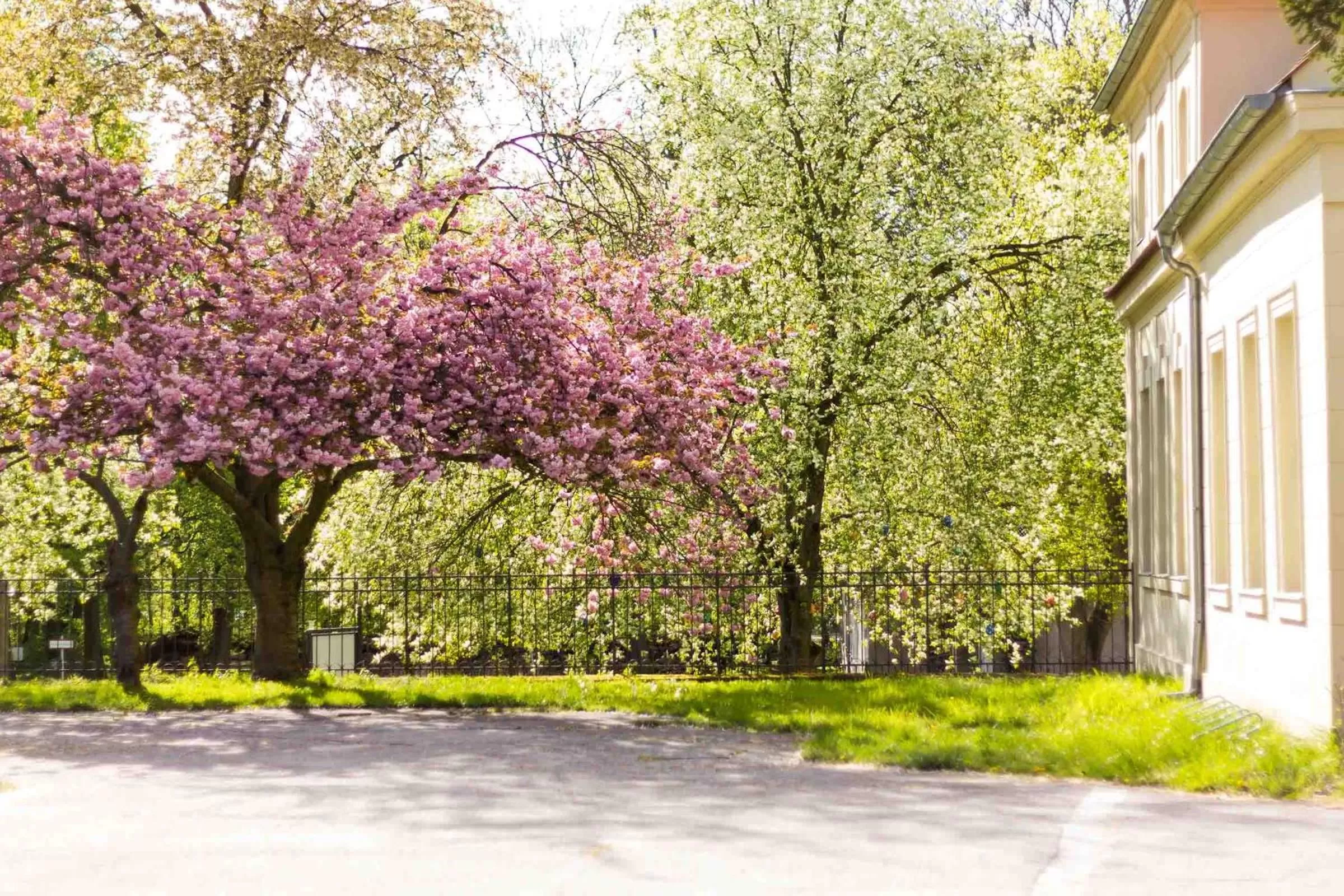 Garden in Gästehaus Schloss Plaue