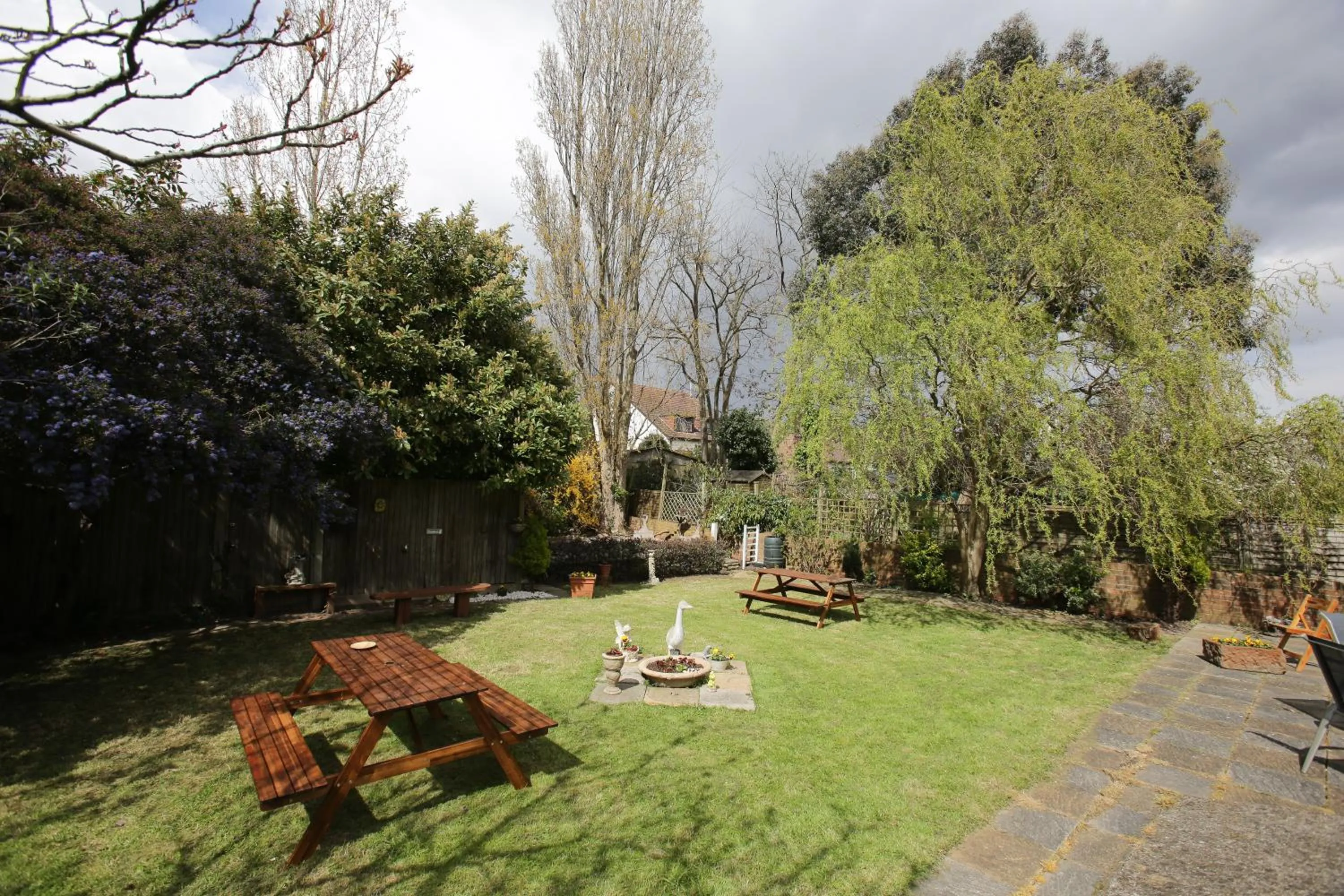 Garden in Manor House London