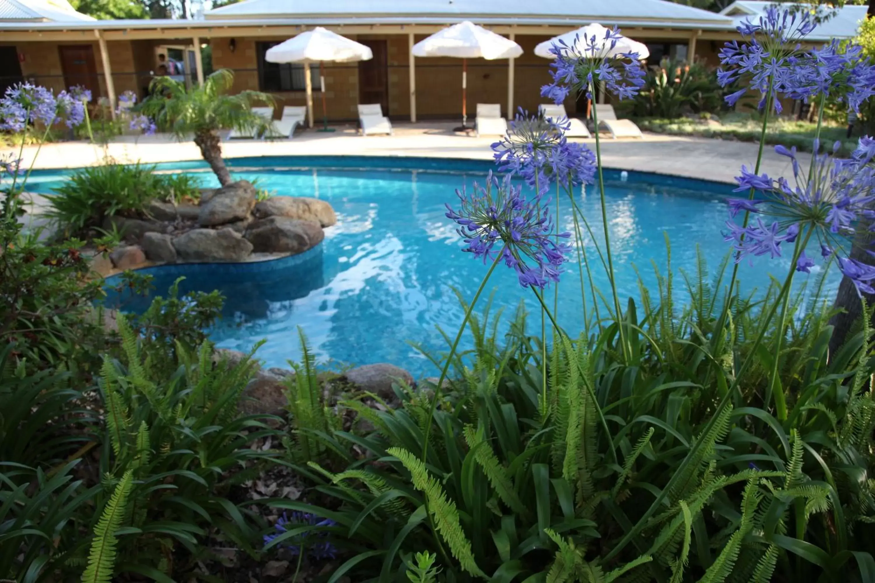 Swimming Pool in Stay Margaret River