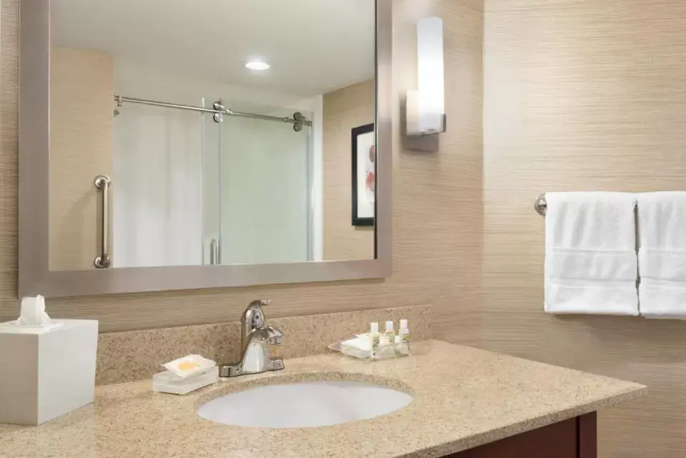 Bathroom in Holiday Inn Dubuque/Galena, an IHG Hotel