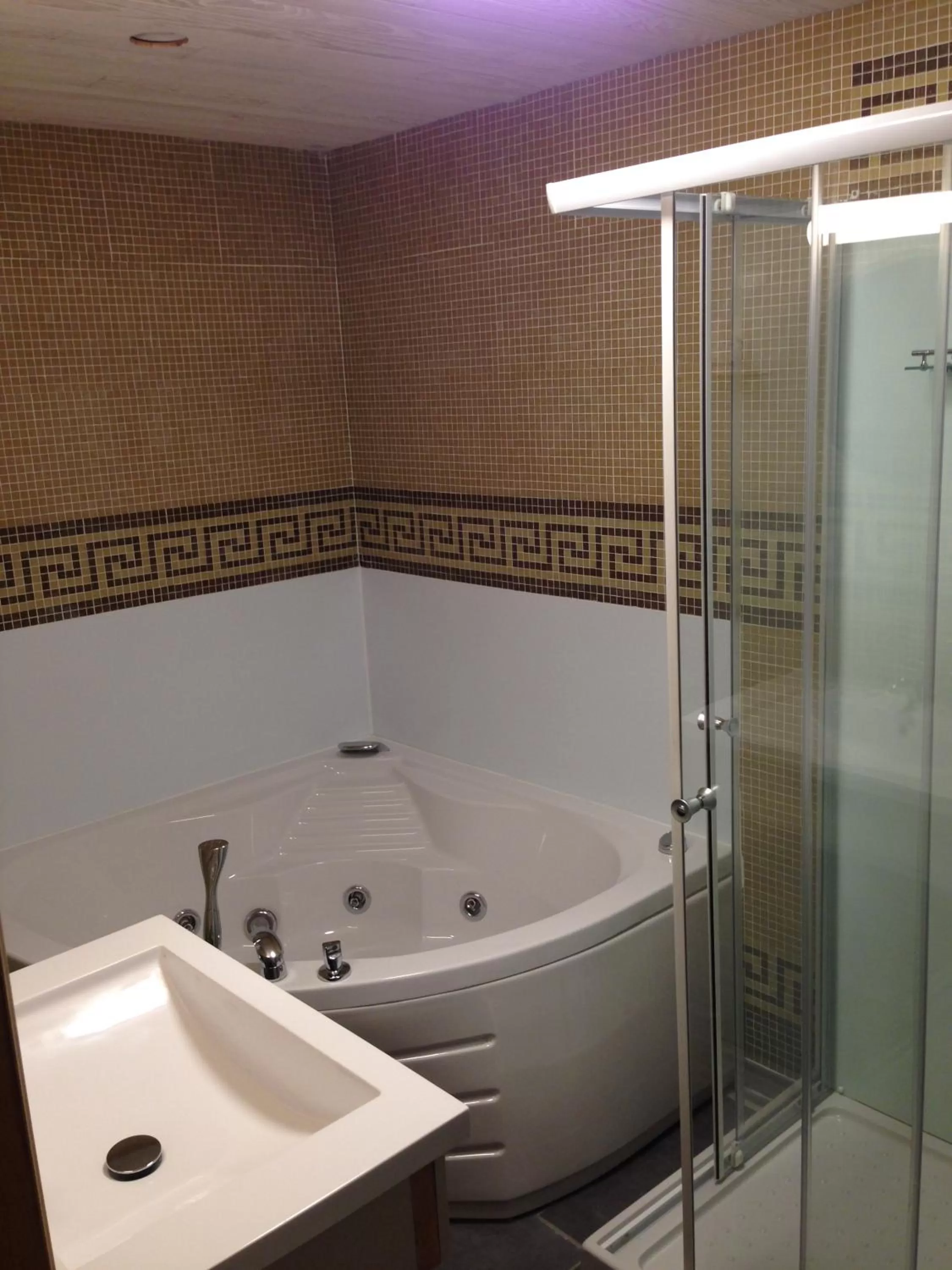 Bathroom in B&B Aalsters-genot