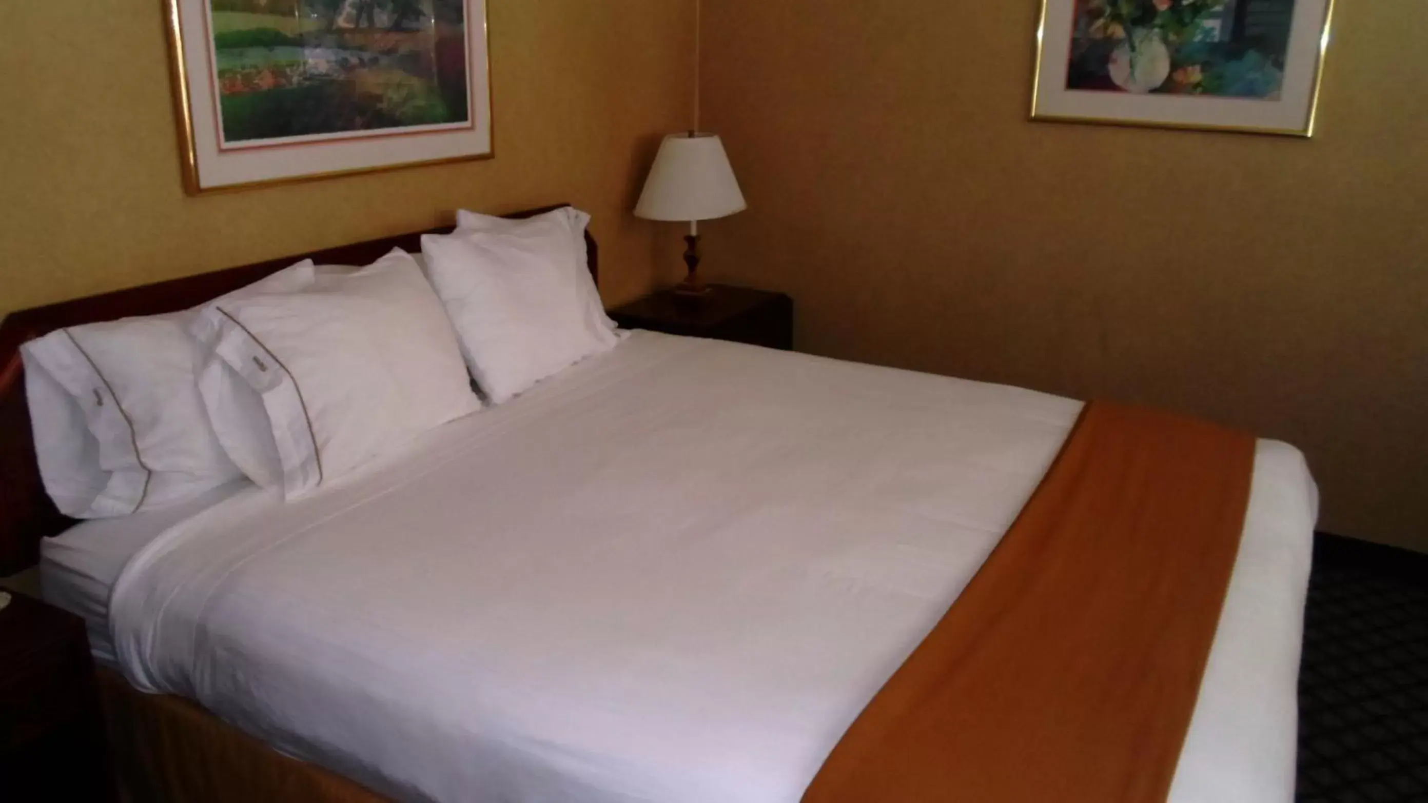 Bed in Holiday Inn Express South Lake Tahoe, an IHG Hotel