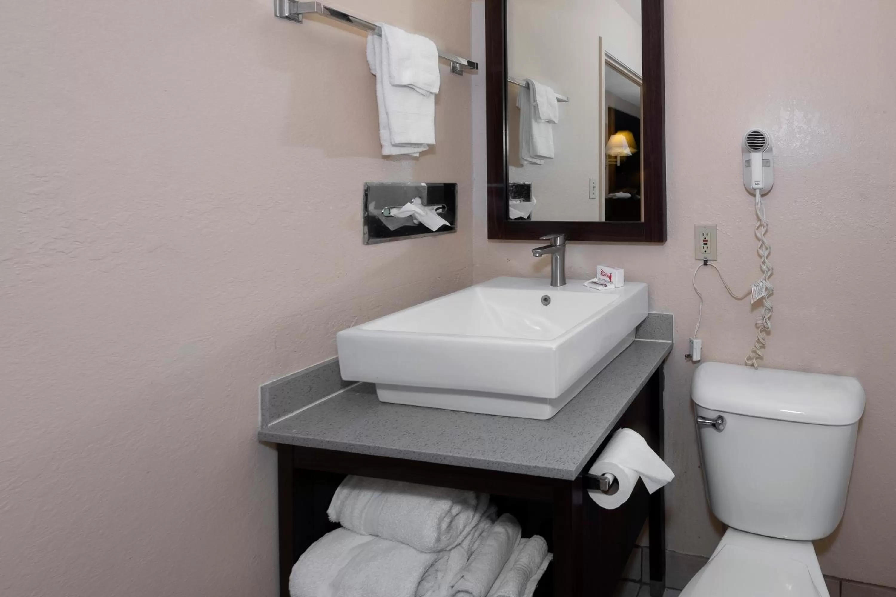 Bathroom in Red Roof Inn Valdosta - University