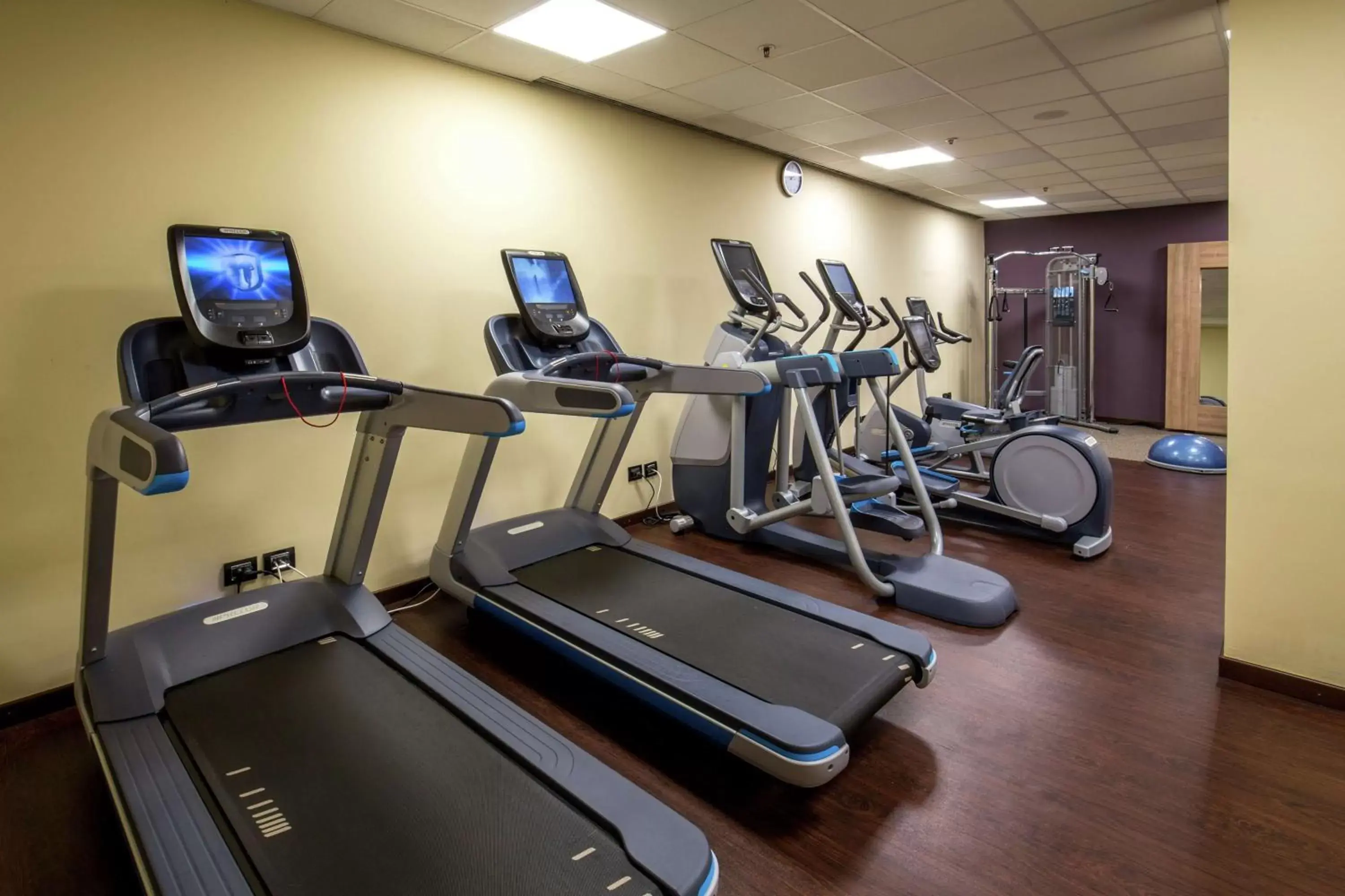 Fitness centre/facilities, Fitness Center/Facilities in DoubleTree By Hilton Milan