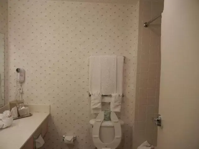Bathroom in The Landmark Inn