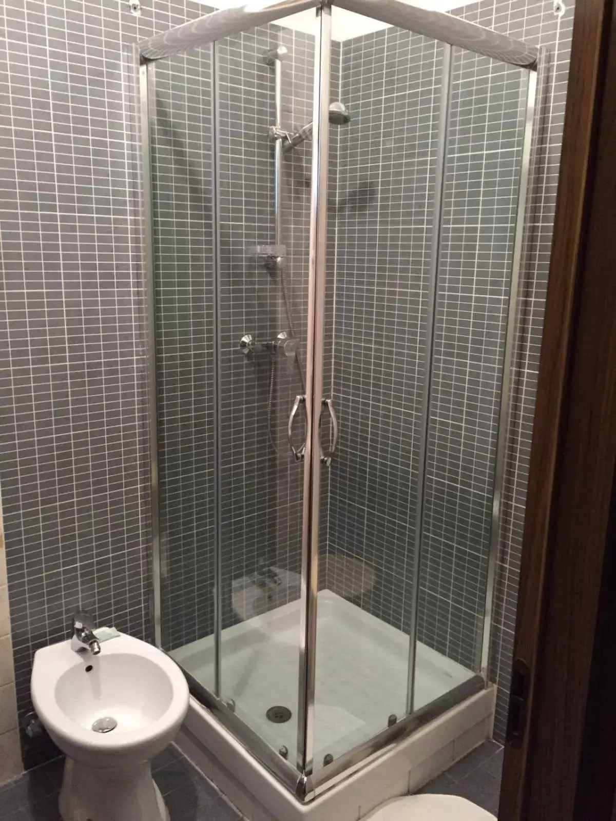Shower, Bathroom in Hotel Delle Rose