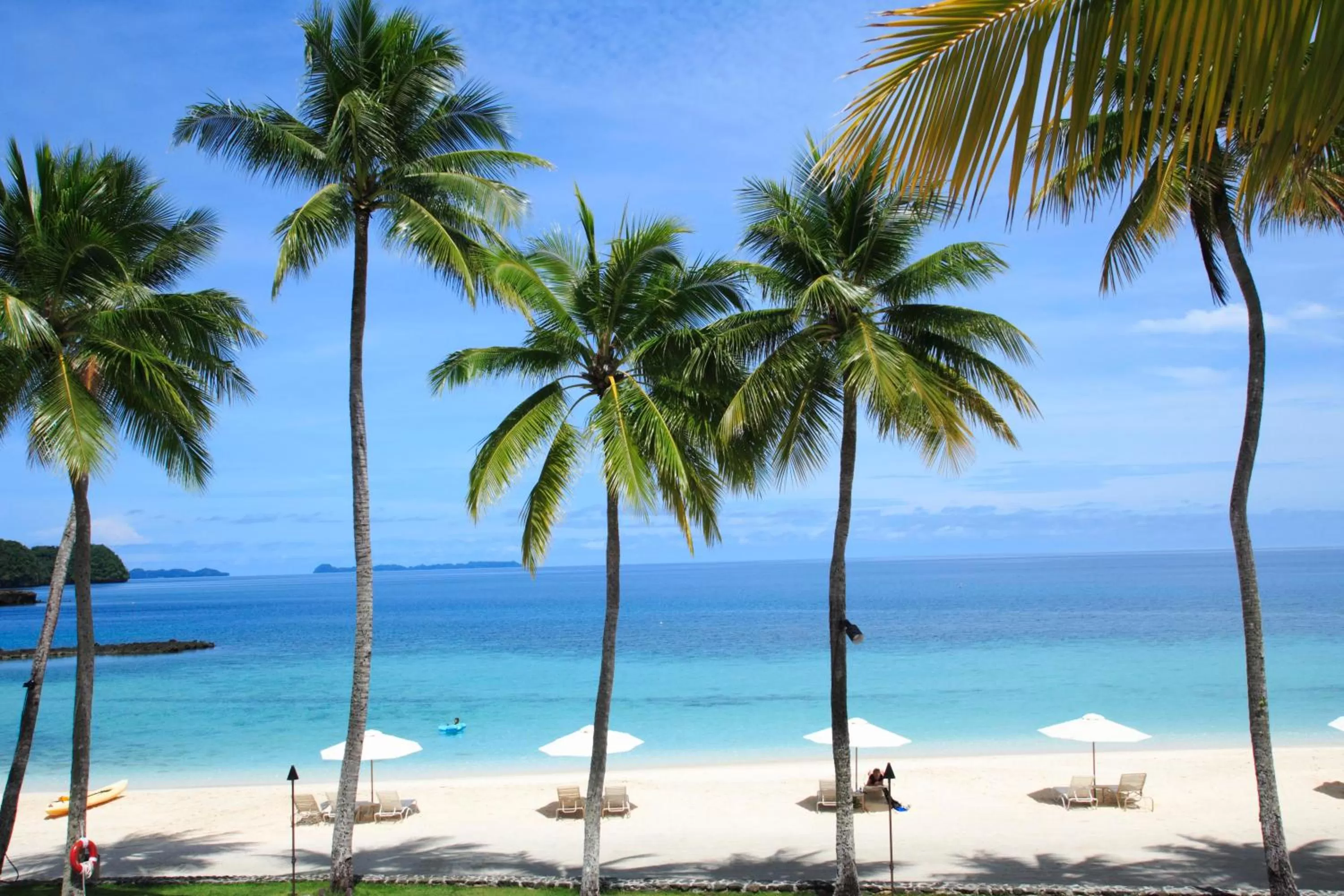 Beach in Palau Pacific Resort & The Pristine Villas and Bungalows