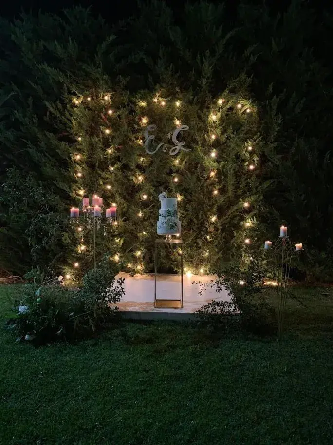 Garden in Hotel Olimpia