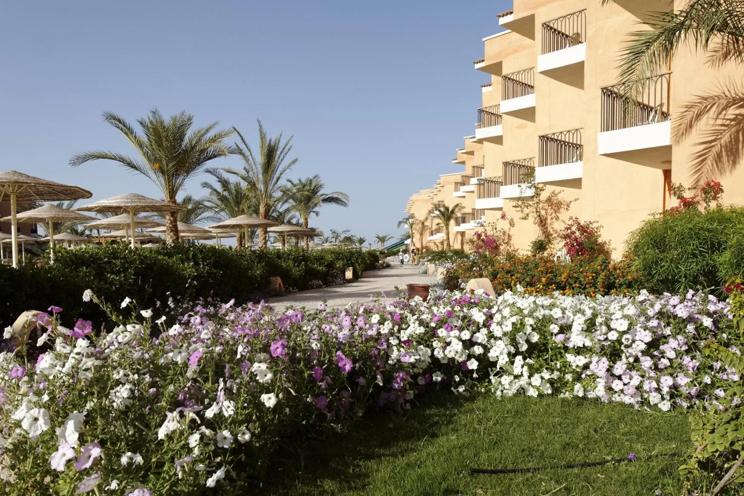 Facade/entrance in Three Corners Sunny Beach Resort Facade/entrance in Three Corners Sunny Beach Resort