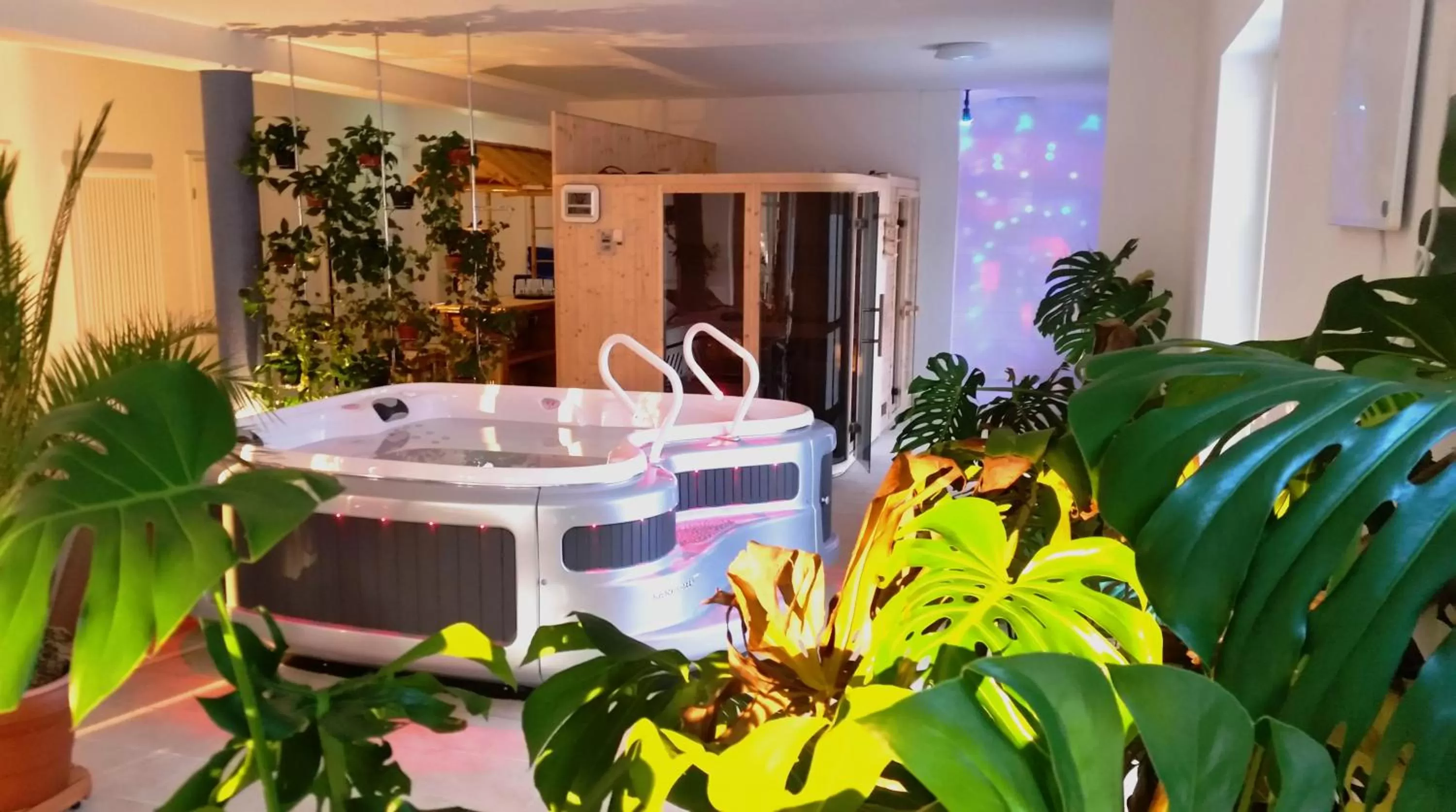 Spa and wellness centre/facilities in Neue Mühle Kleines Landhotel