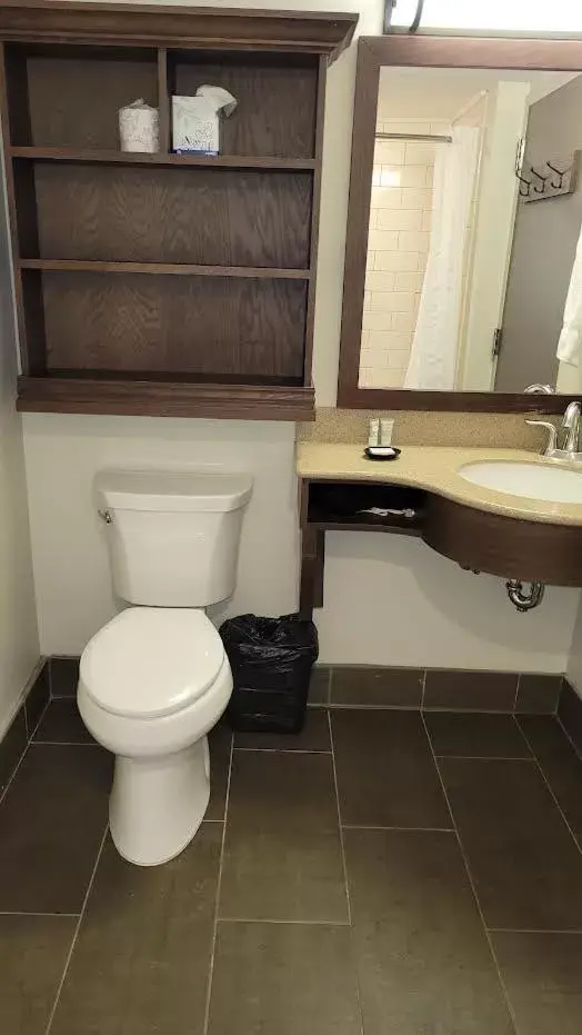 Toilet, Bathroom in Kanuga Inn & Lodging