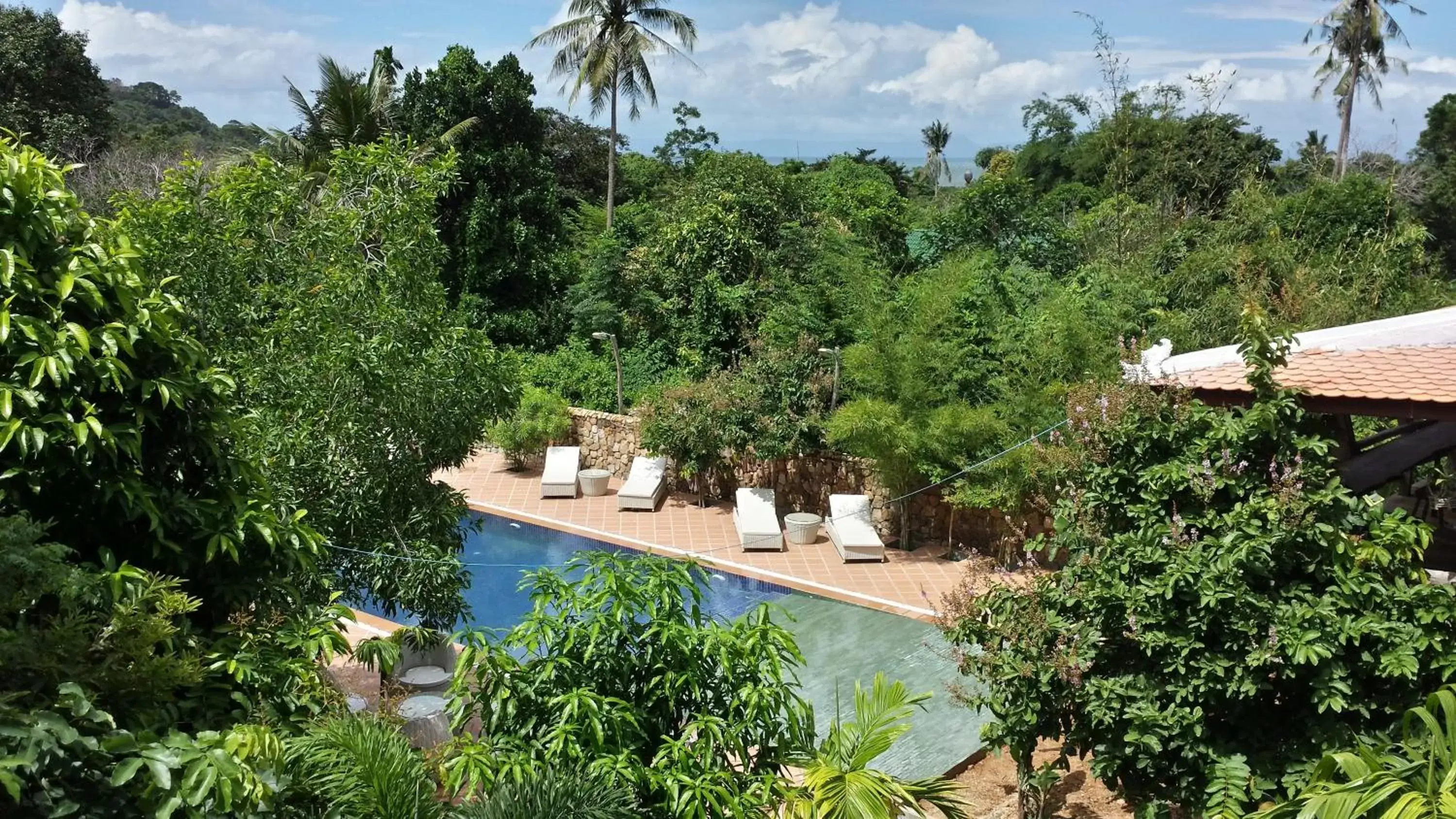 Swimming pool, Pool View in TARA LODGE Haven of peace