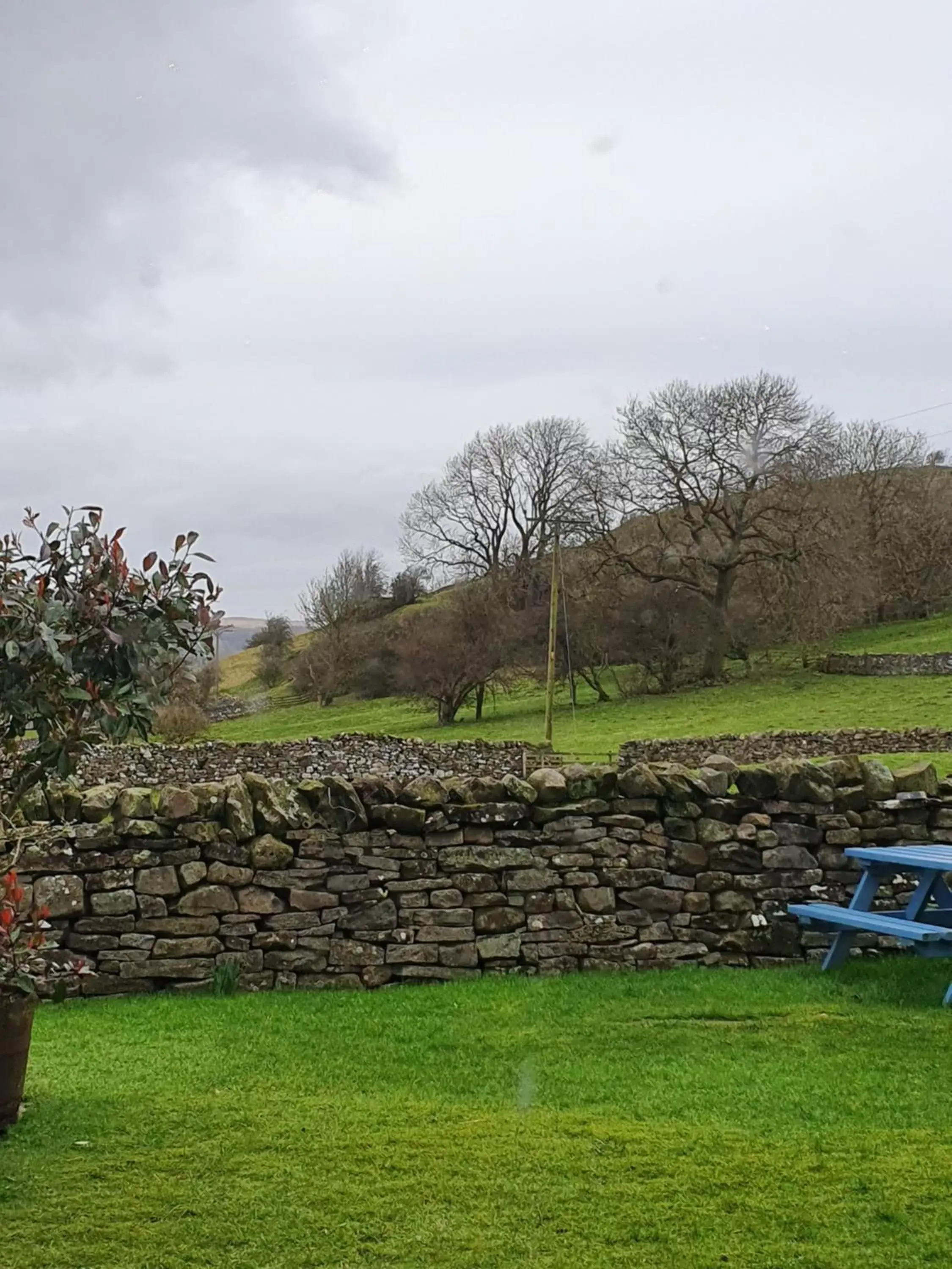 Garden in Bolton arms downholme