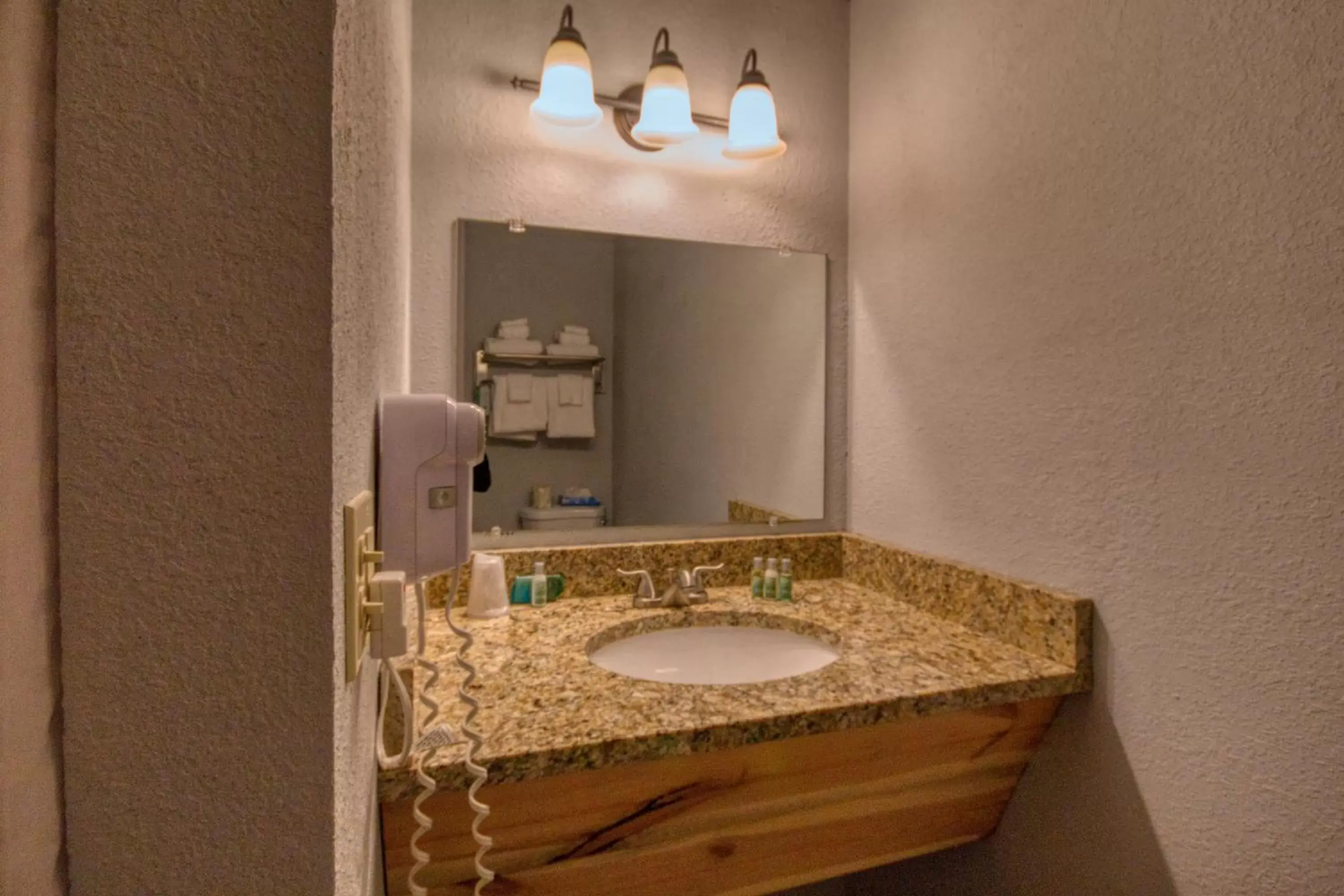 Bathroom in Tremont Lodge & Resort