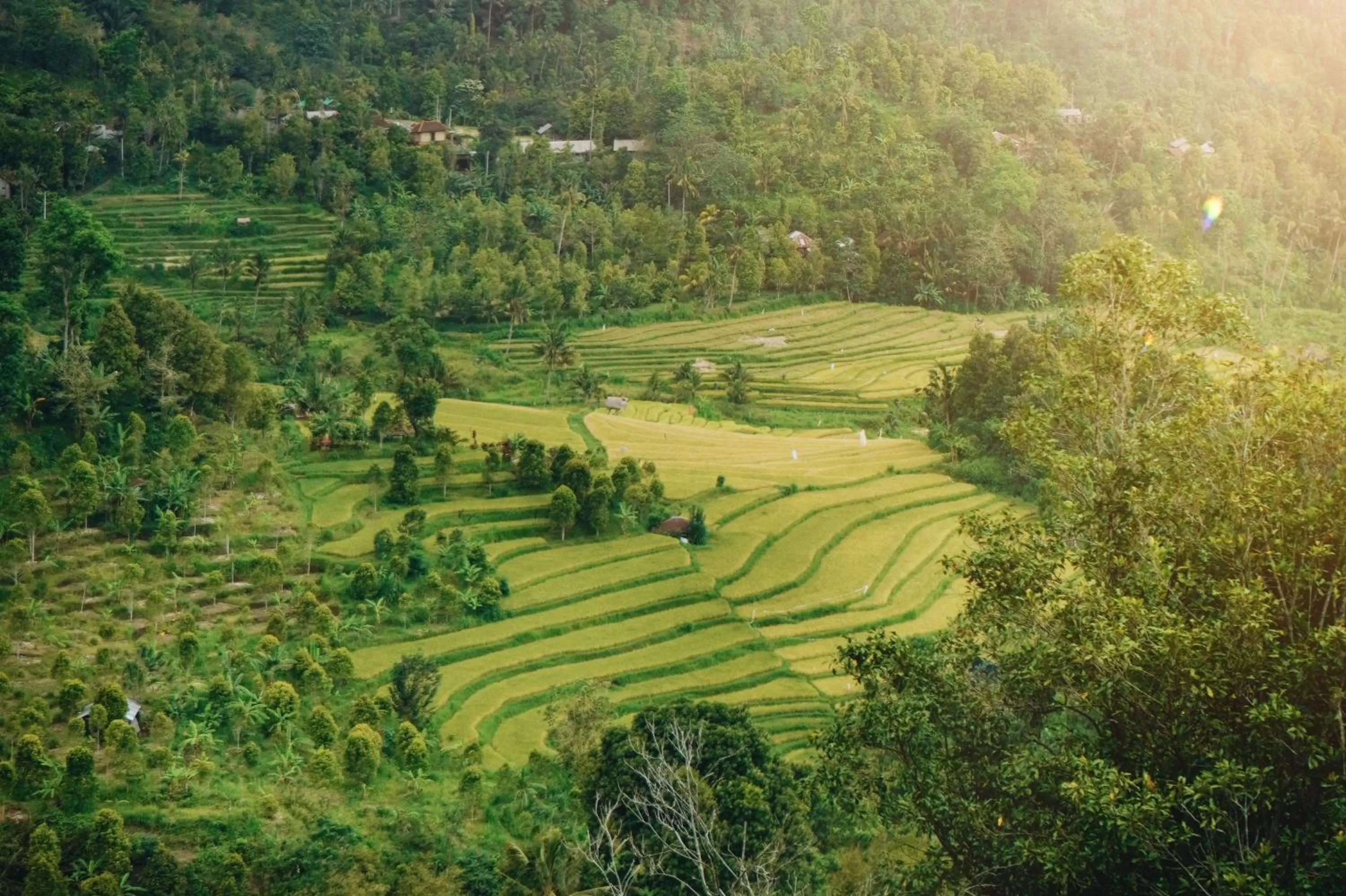 View (from property/room) in Maha Hills Resort by Mahaprana Experience