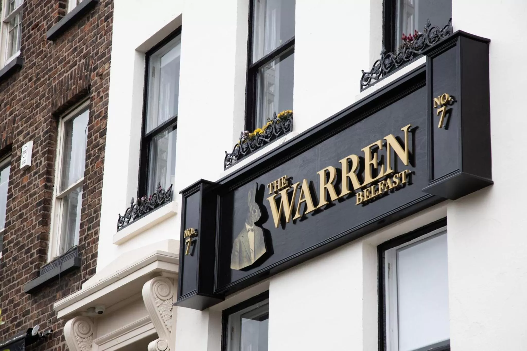 Property building in The Warren Belfast