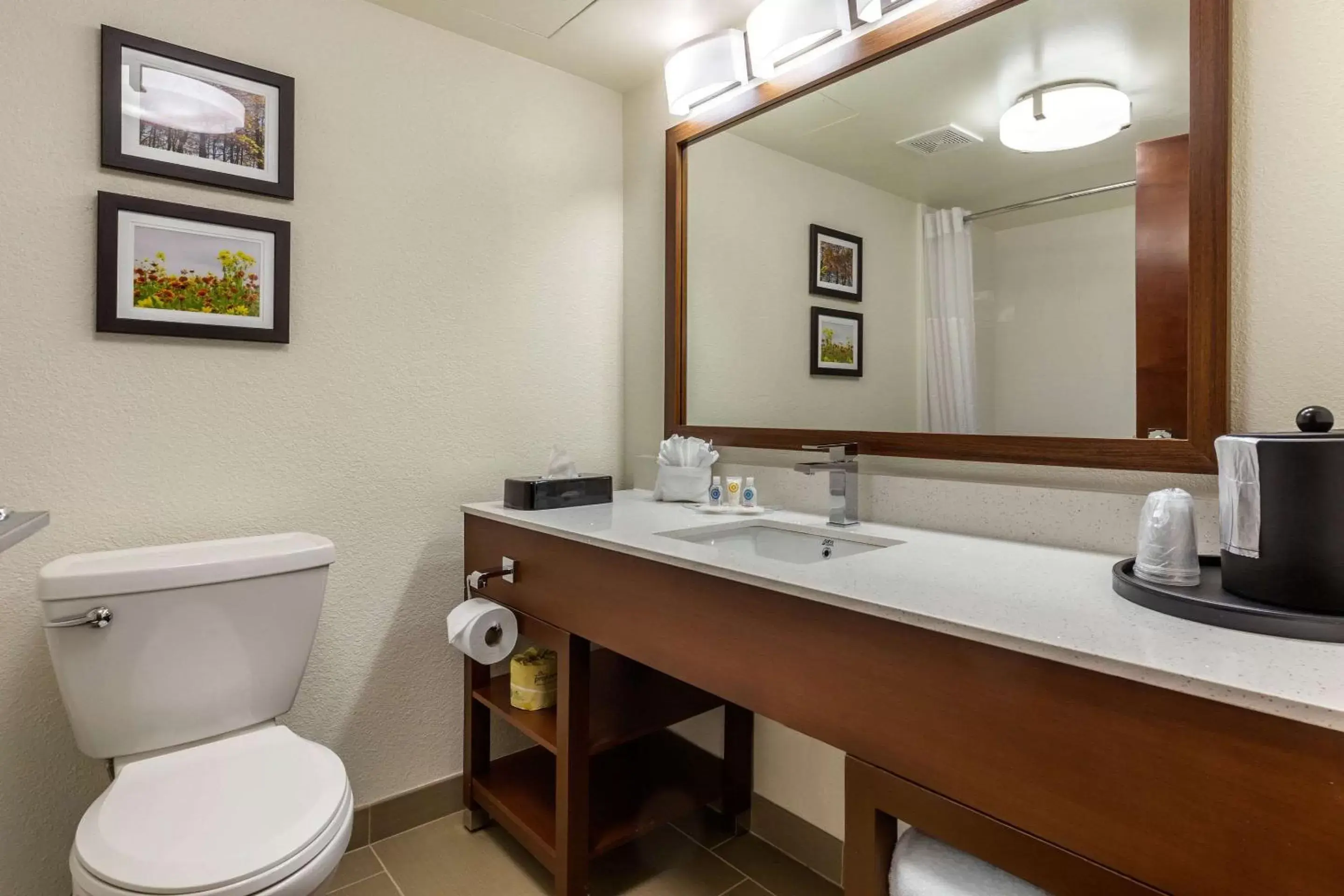 Bathroom in Comfort Suites Hanes Mall
