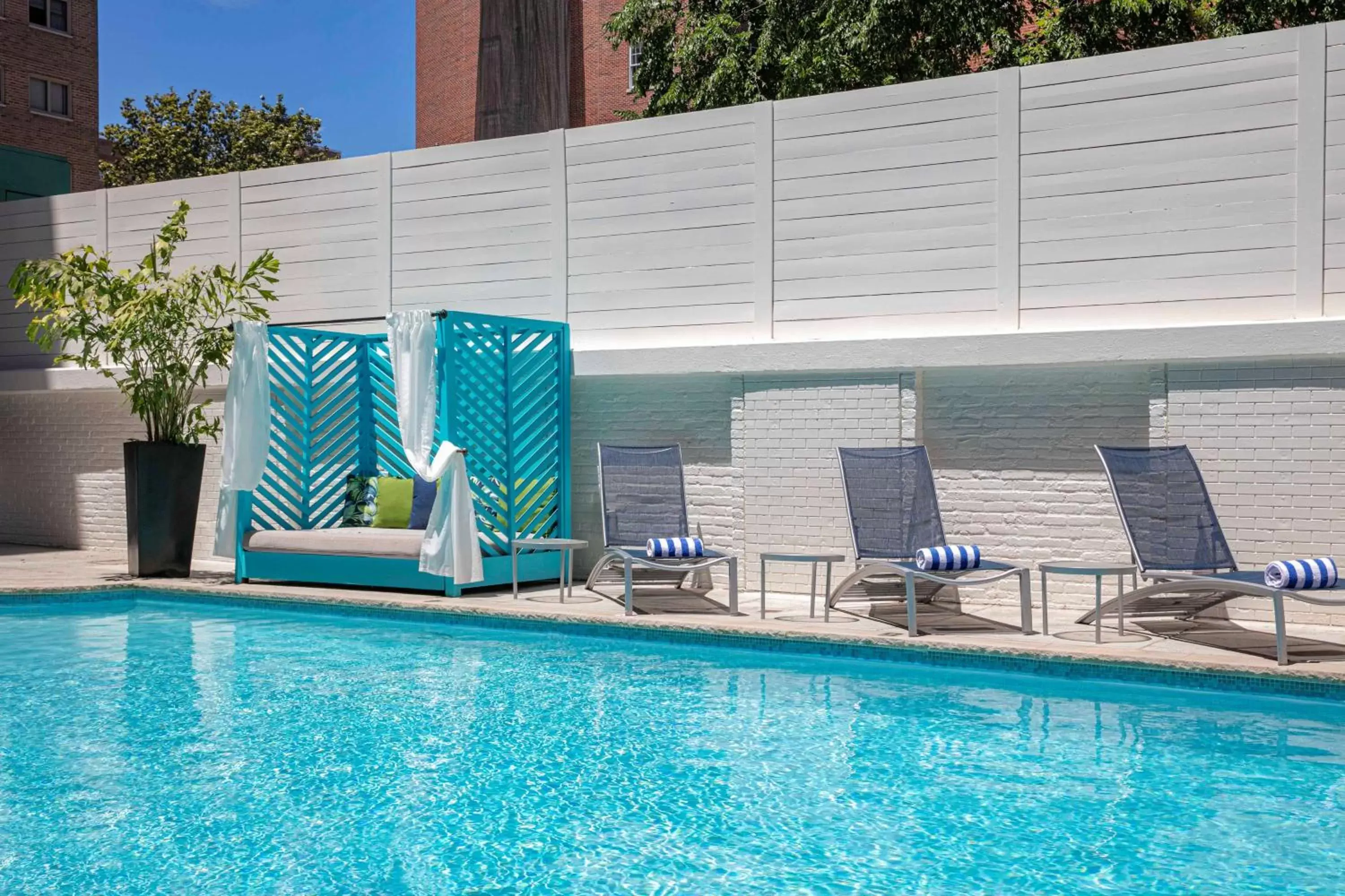 Pool view, Swimming Pool in The Royal Sonesta Washington DC Dupont Circle