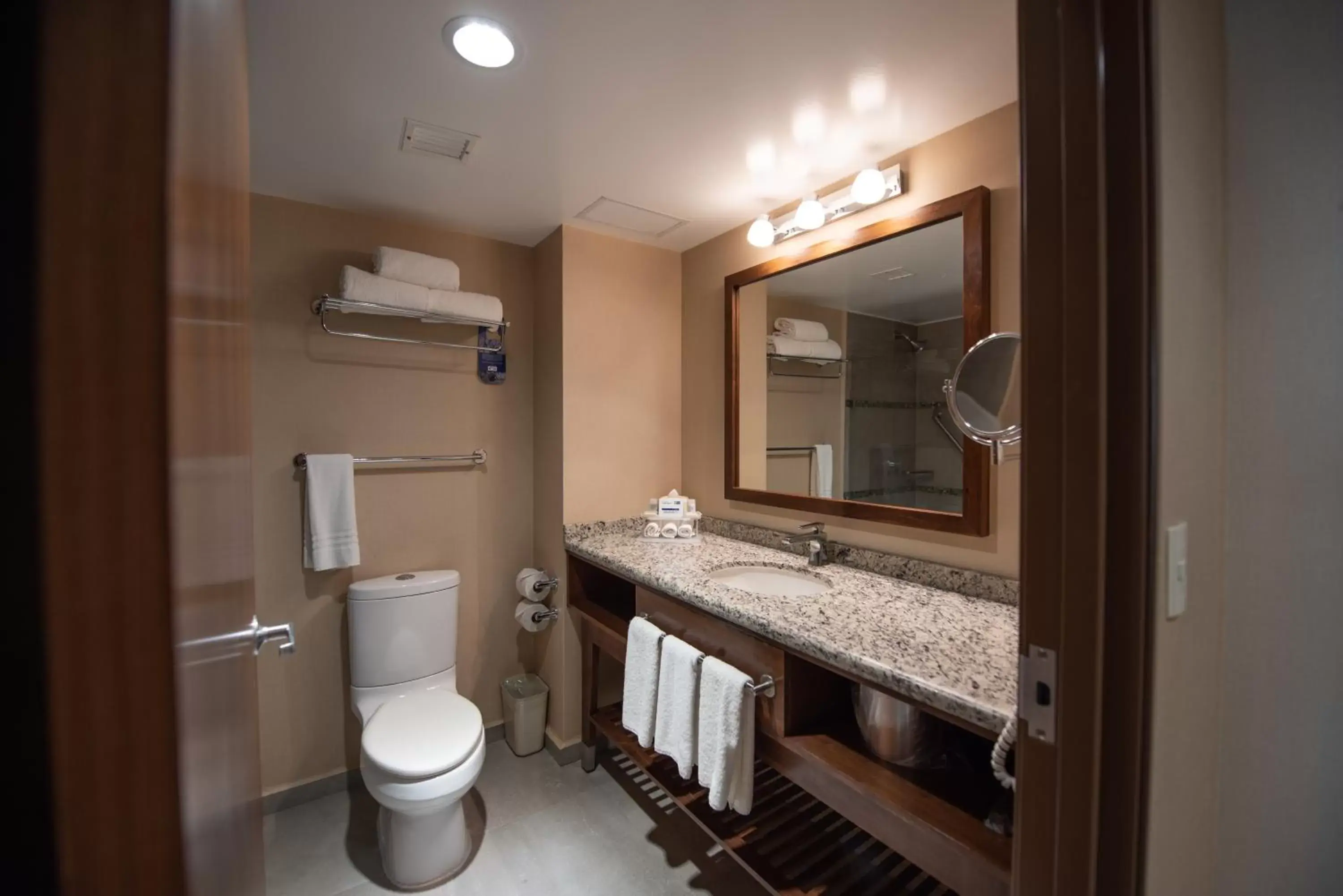 Toilet, Bathroom in Holiday Inn Express and Suites Celaya, an IHG Hotel