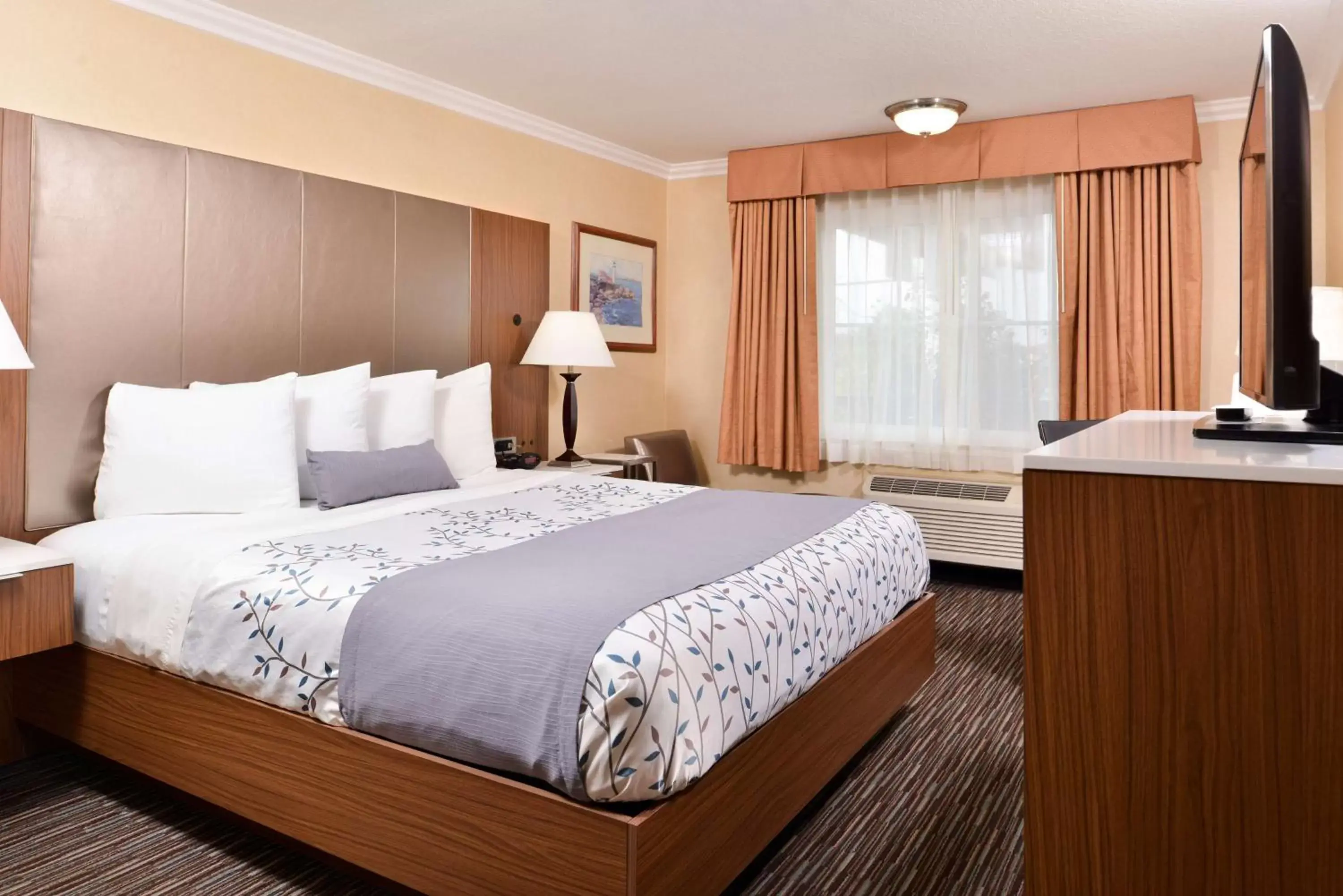 Photo of the whole room, Bed in Best Western Airpark Hotel - Los Angeles LAX Airport