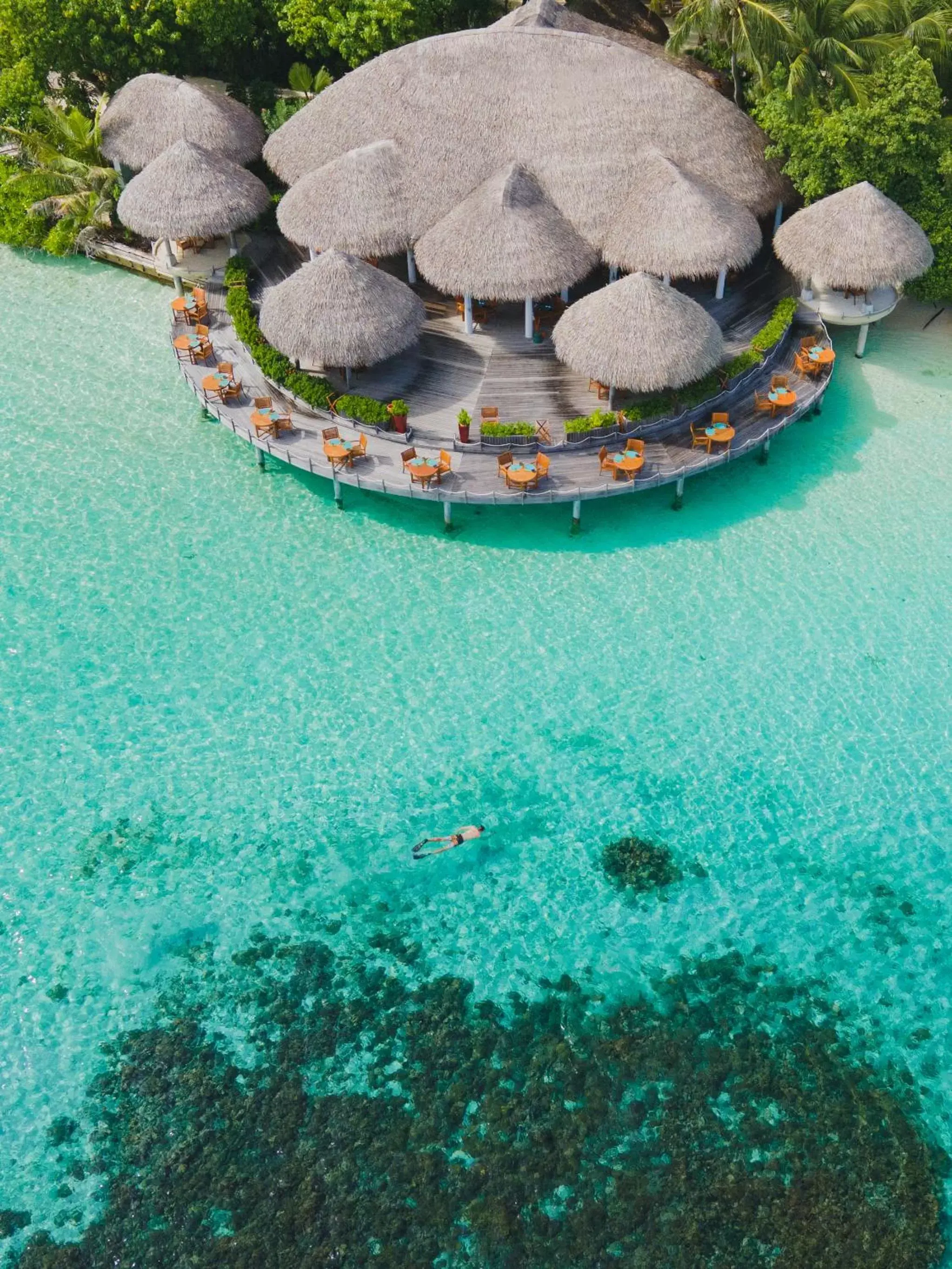 Restaurant/places to eat in Baros Maldives
