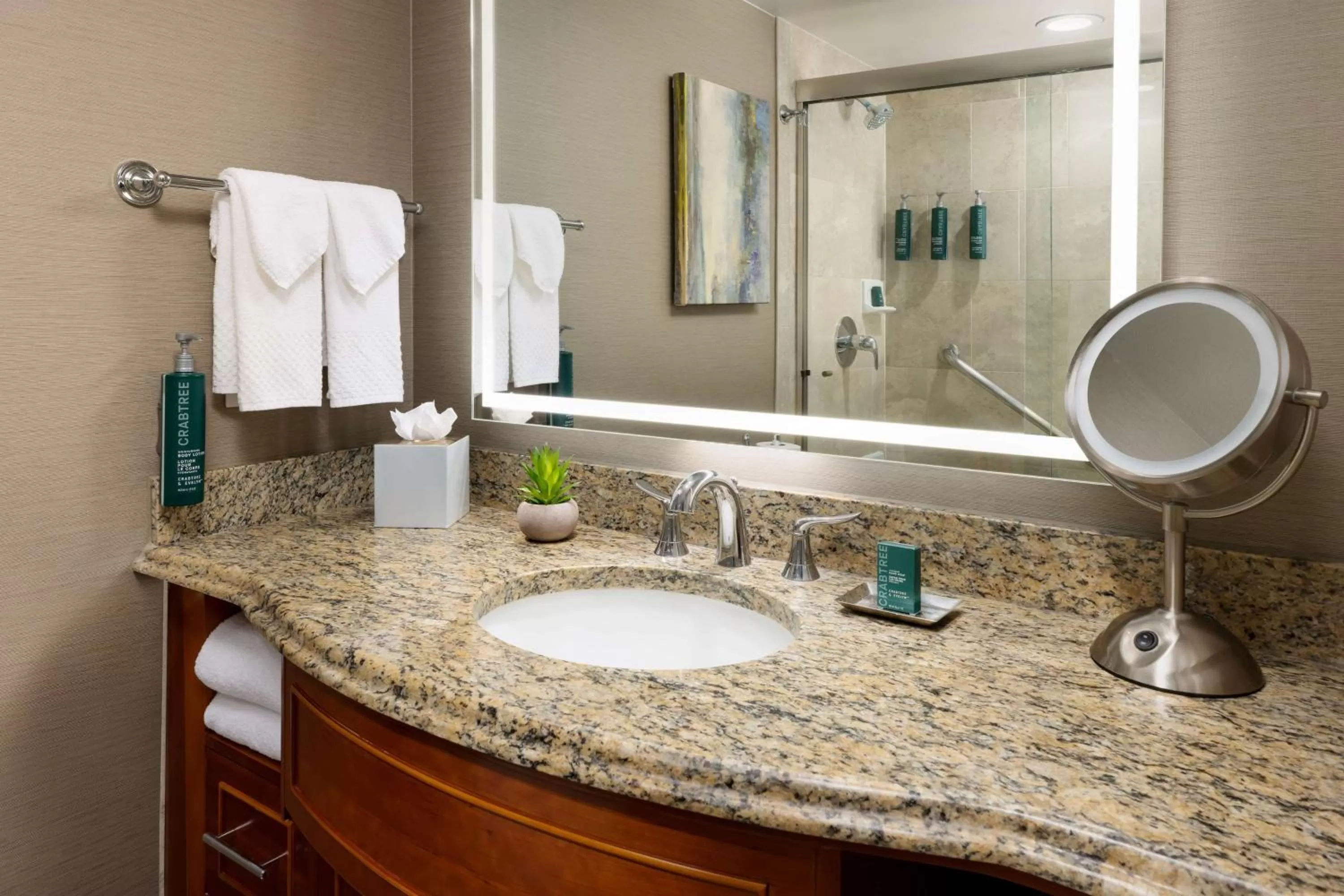 Bathroom in Hilton Tucson East