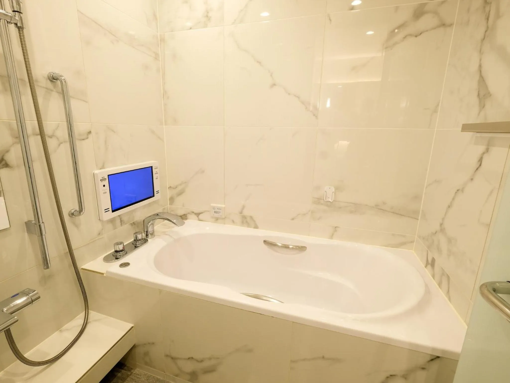 View (from property/room) in Hotel Buena Vista