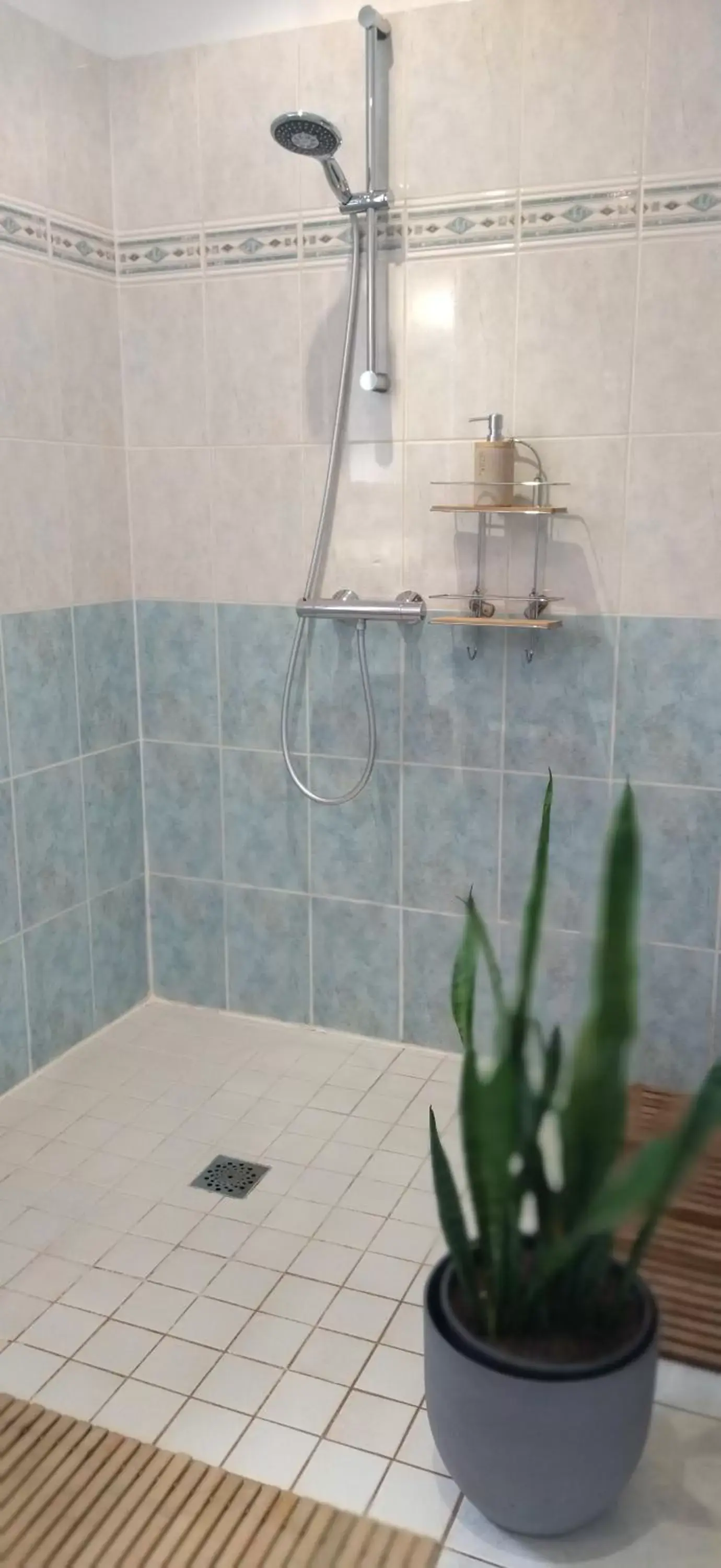 Shower, Bathroom in Fleurs de Cosmos