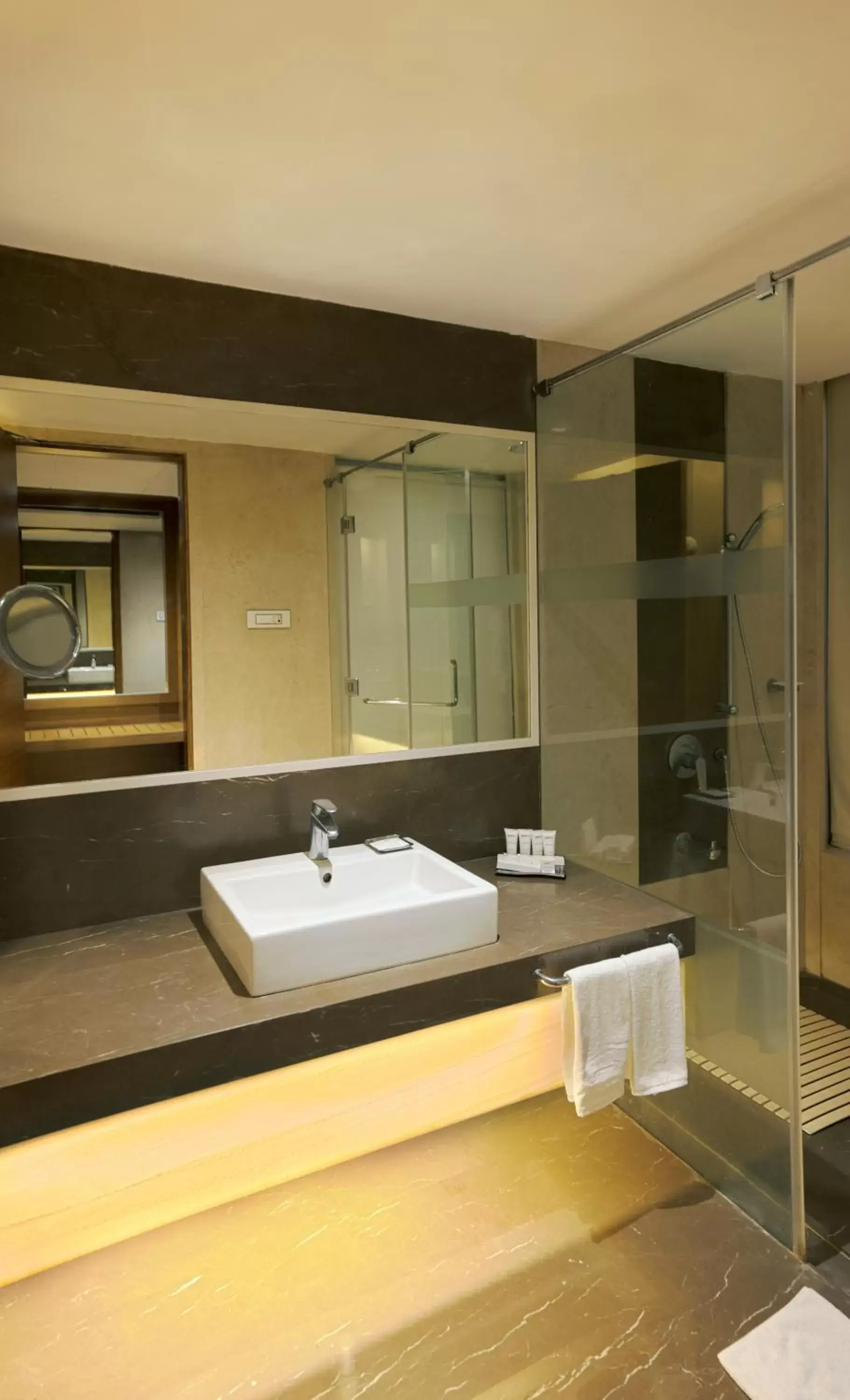 Bathroom in Radisson Udaipur