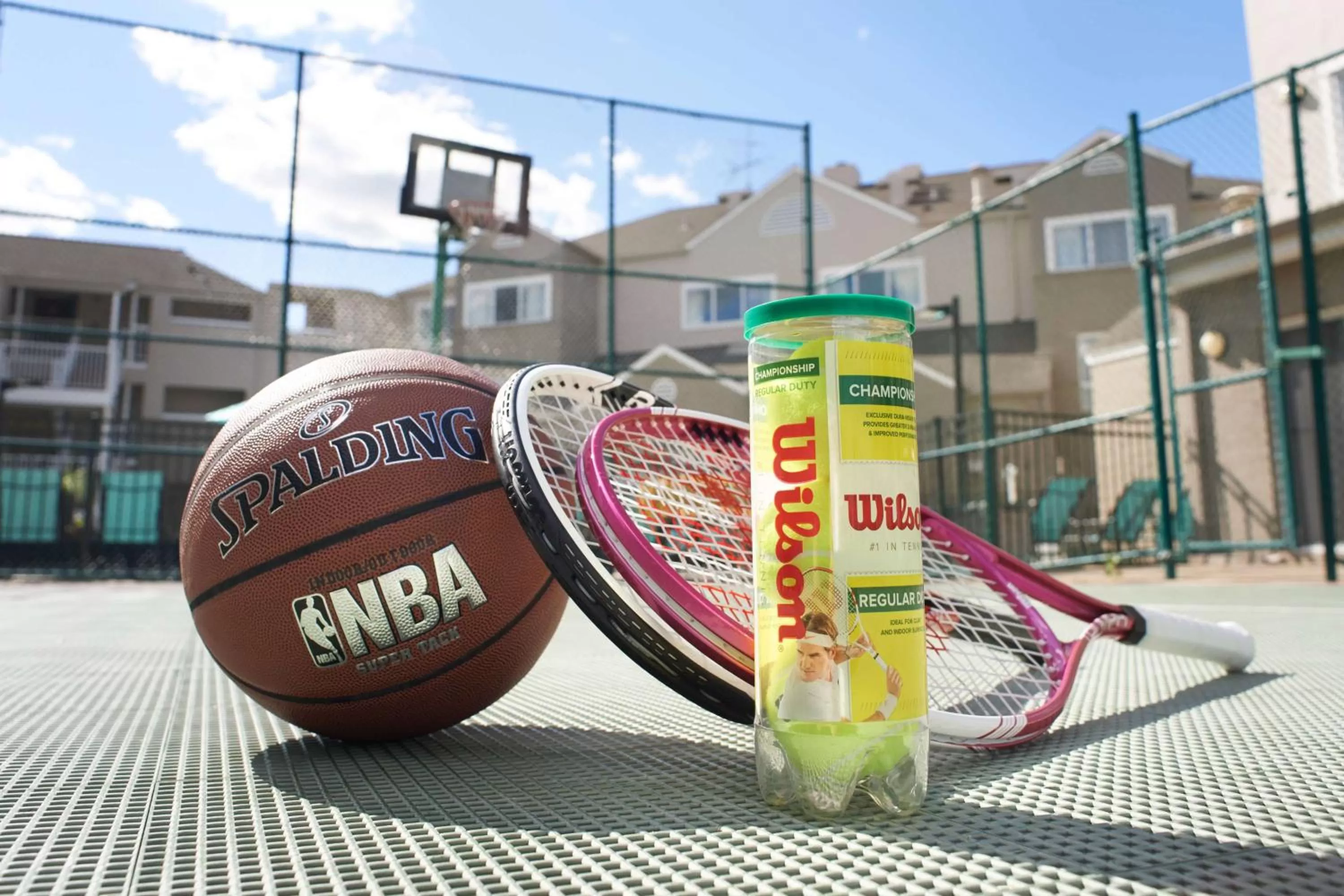 Sports in Sonesta ES Suites Detroit Warren