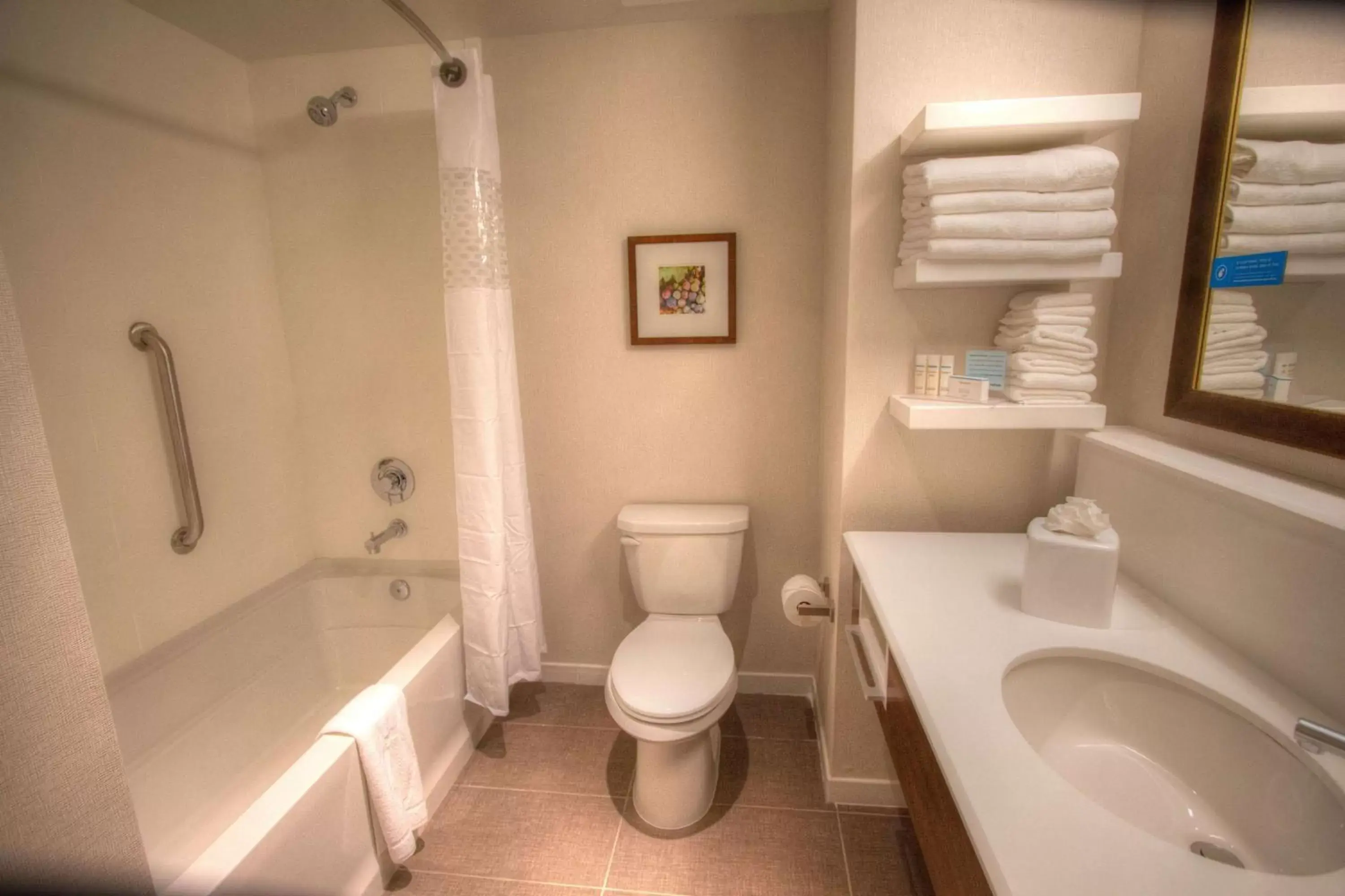 Bathroom in Hampton Inn & Suites Braselton