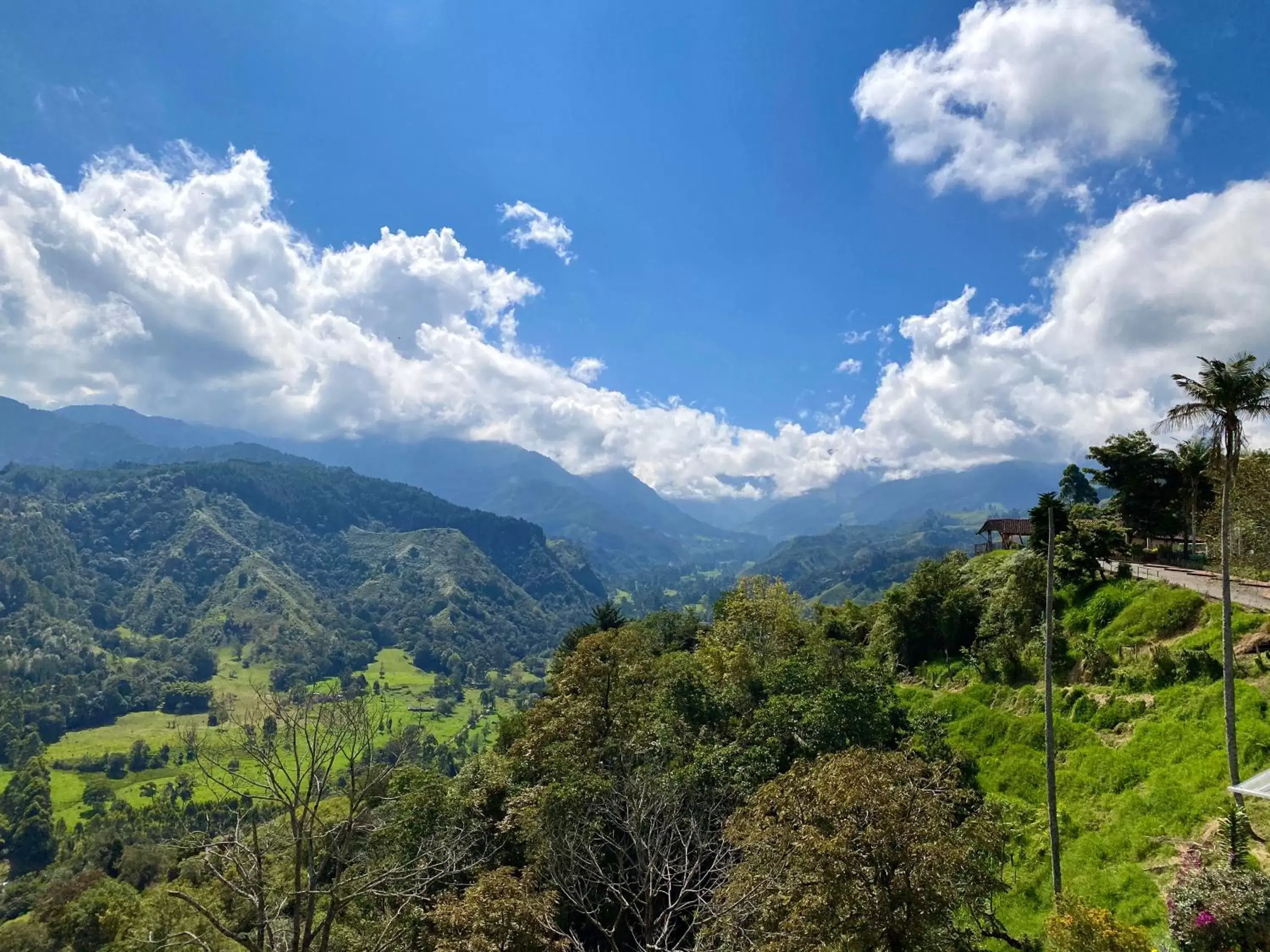 Mountain View in Hotel El Mirador del Cocora