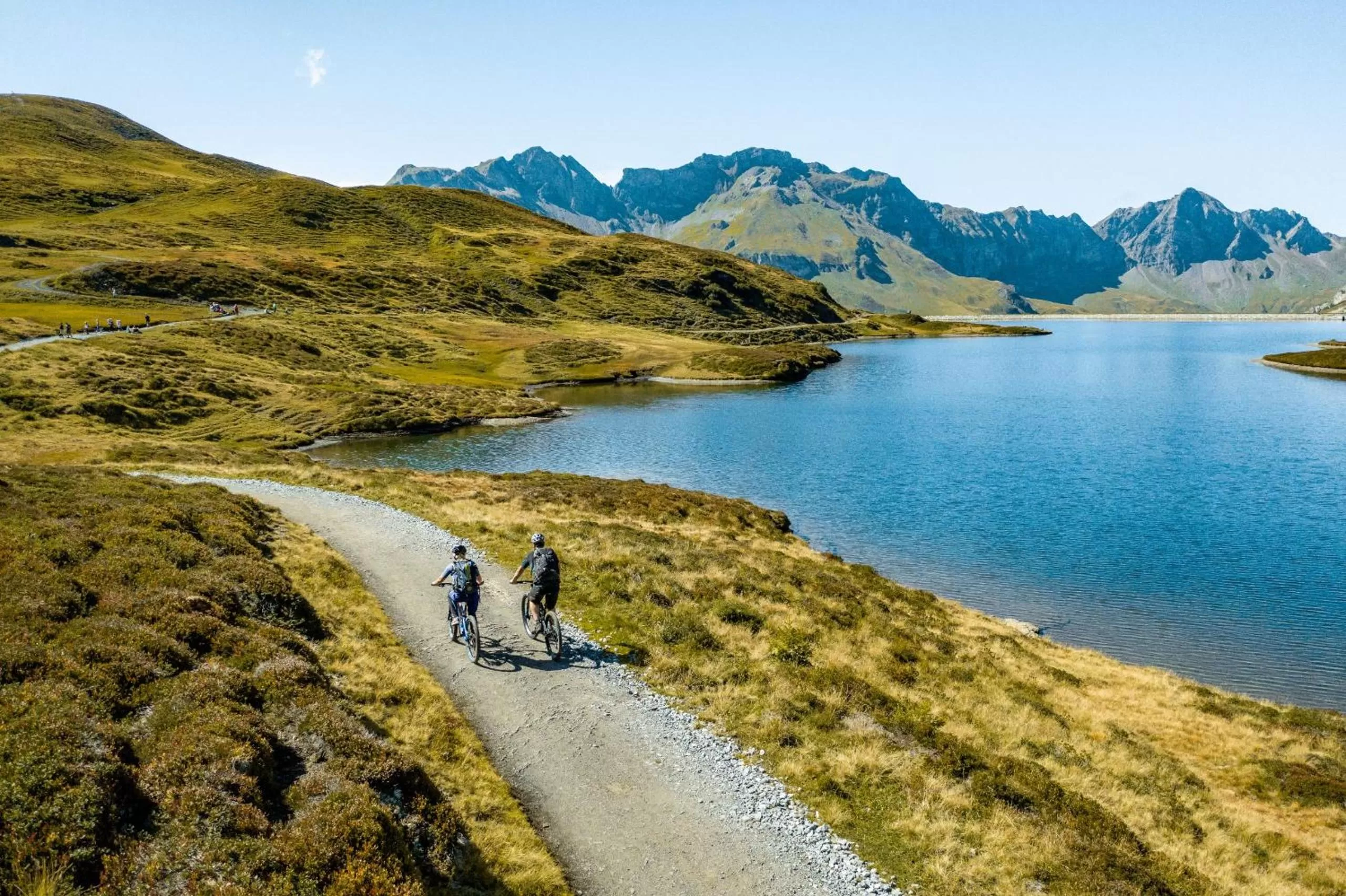 Staff in Frutt Living