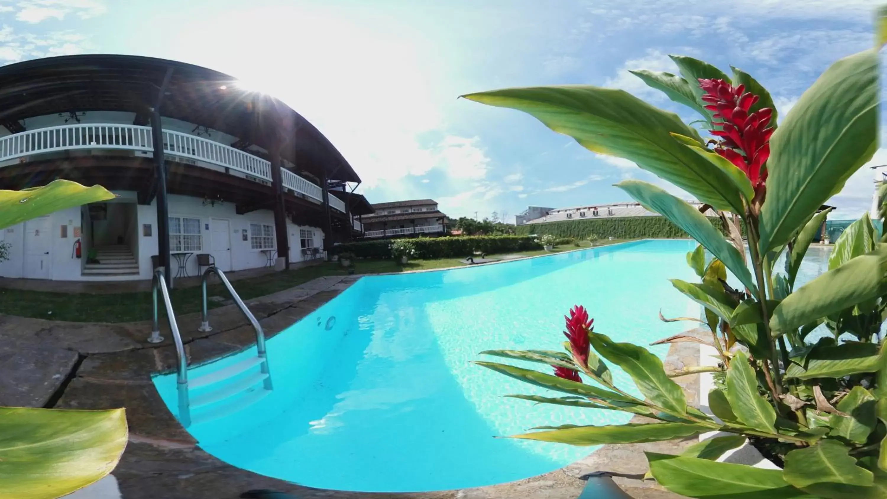 Swimming Pool in Hotel Luisiana