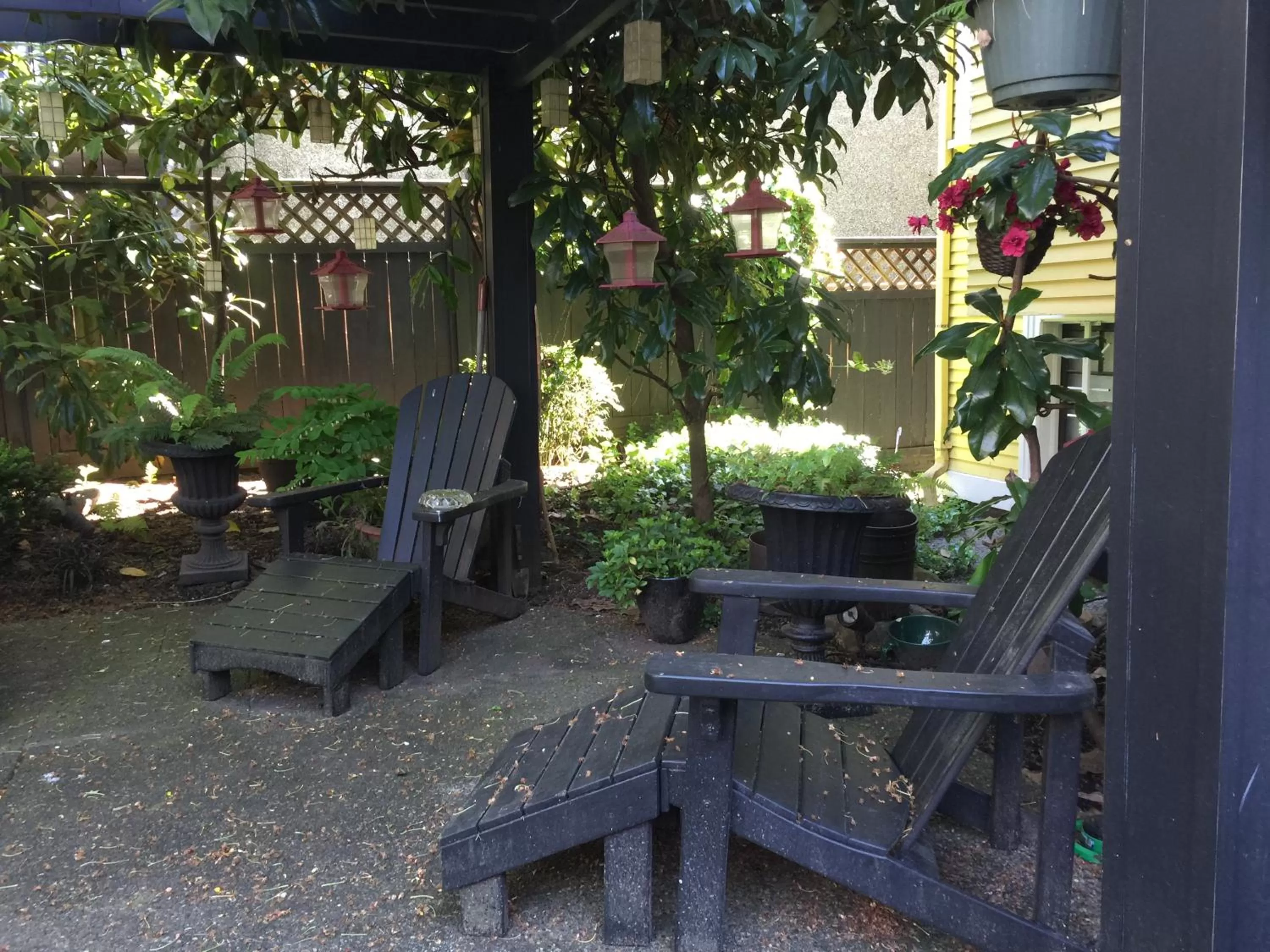 Garden in Barclay House Bed and Breakfast