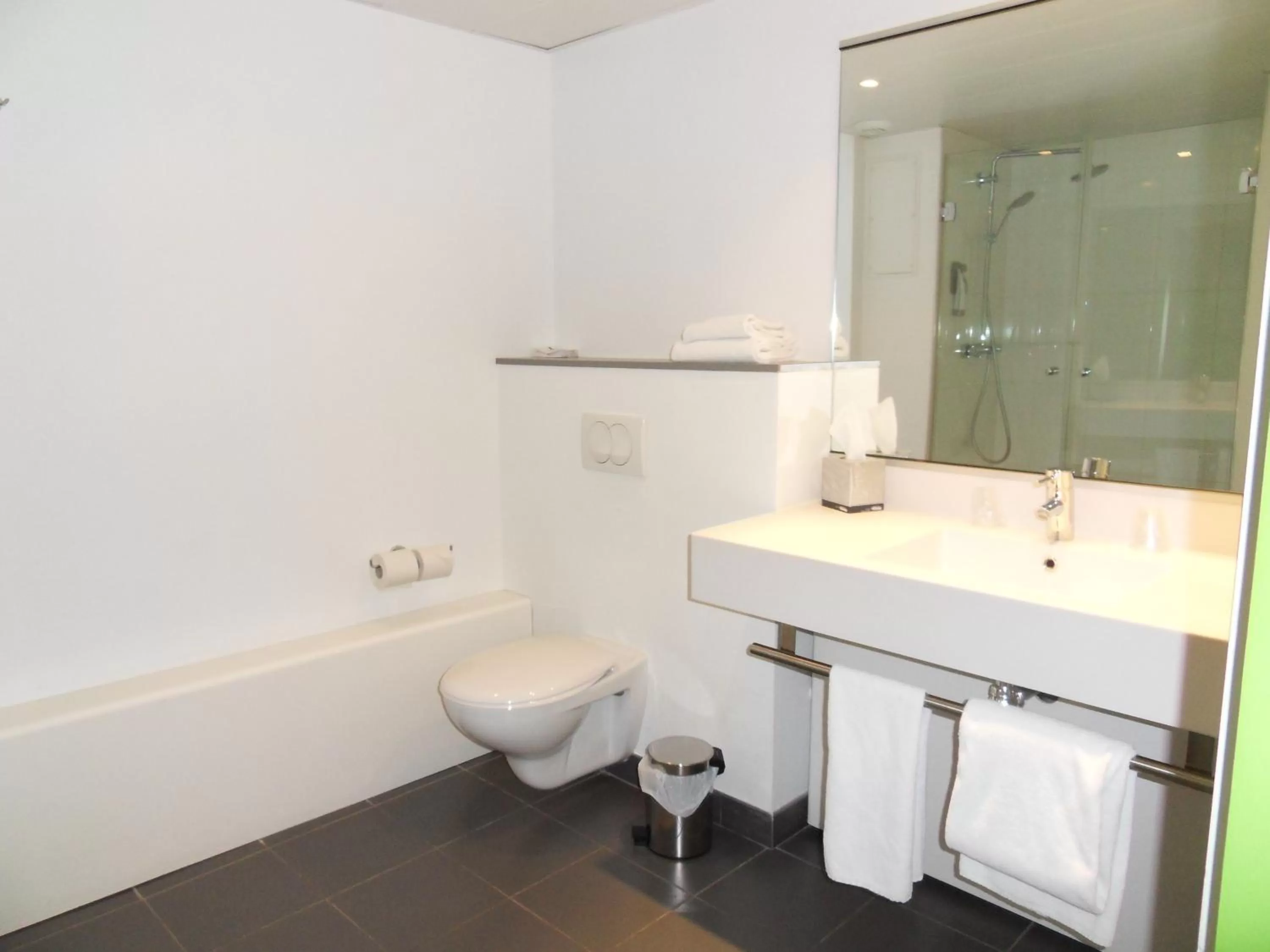 Shower in ibis Styles Grenoble Centre Gare