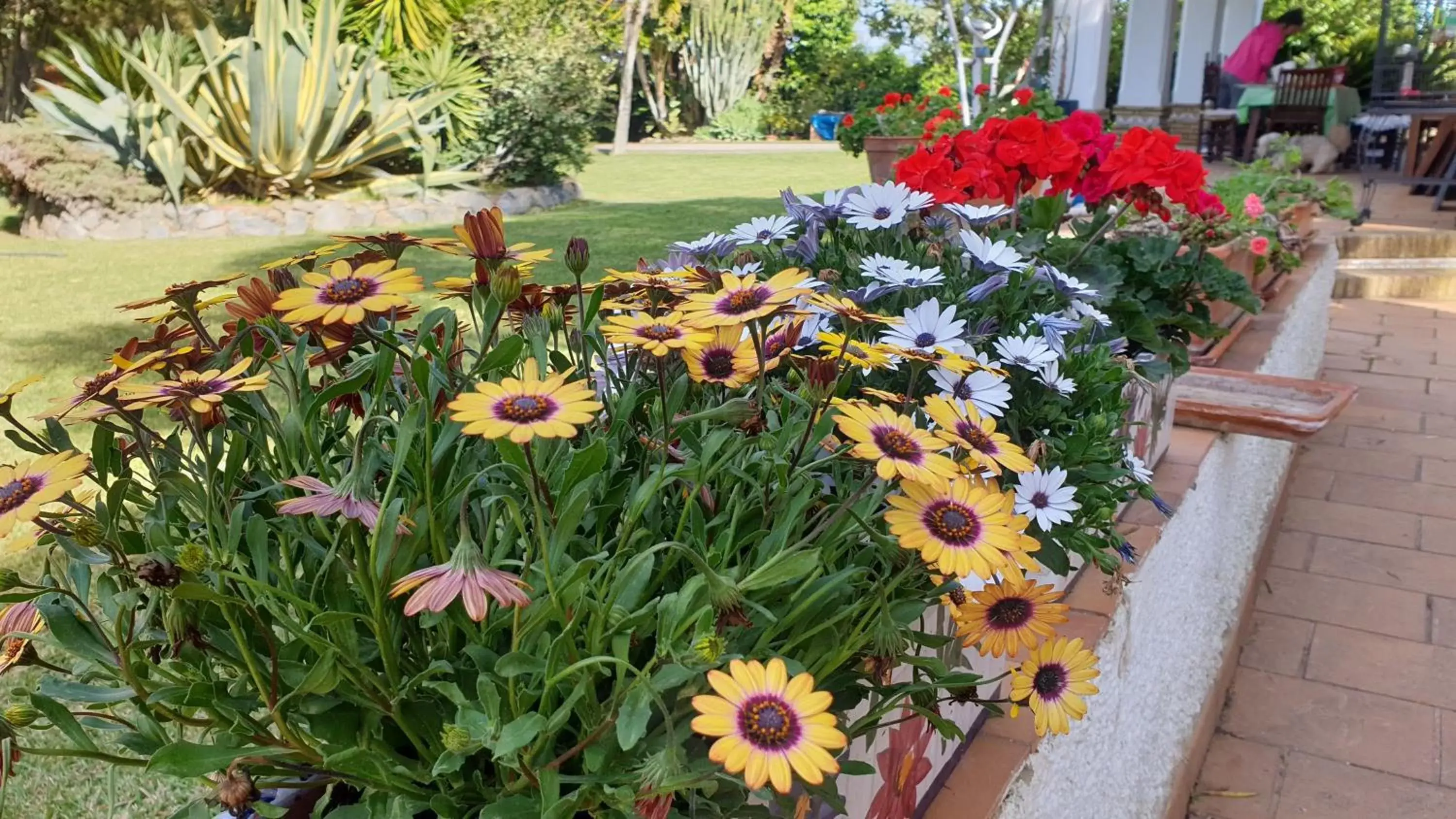 Garden in La Casa del Torreón