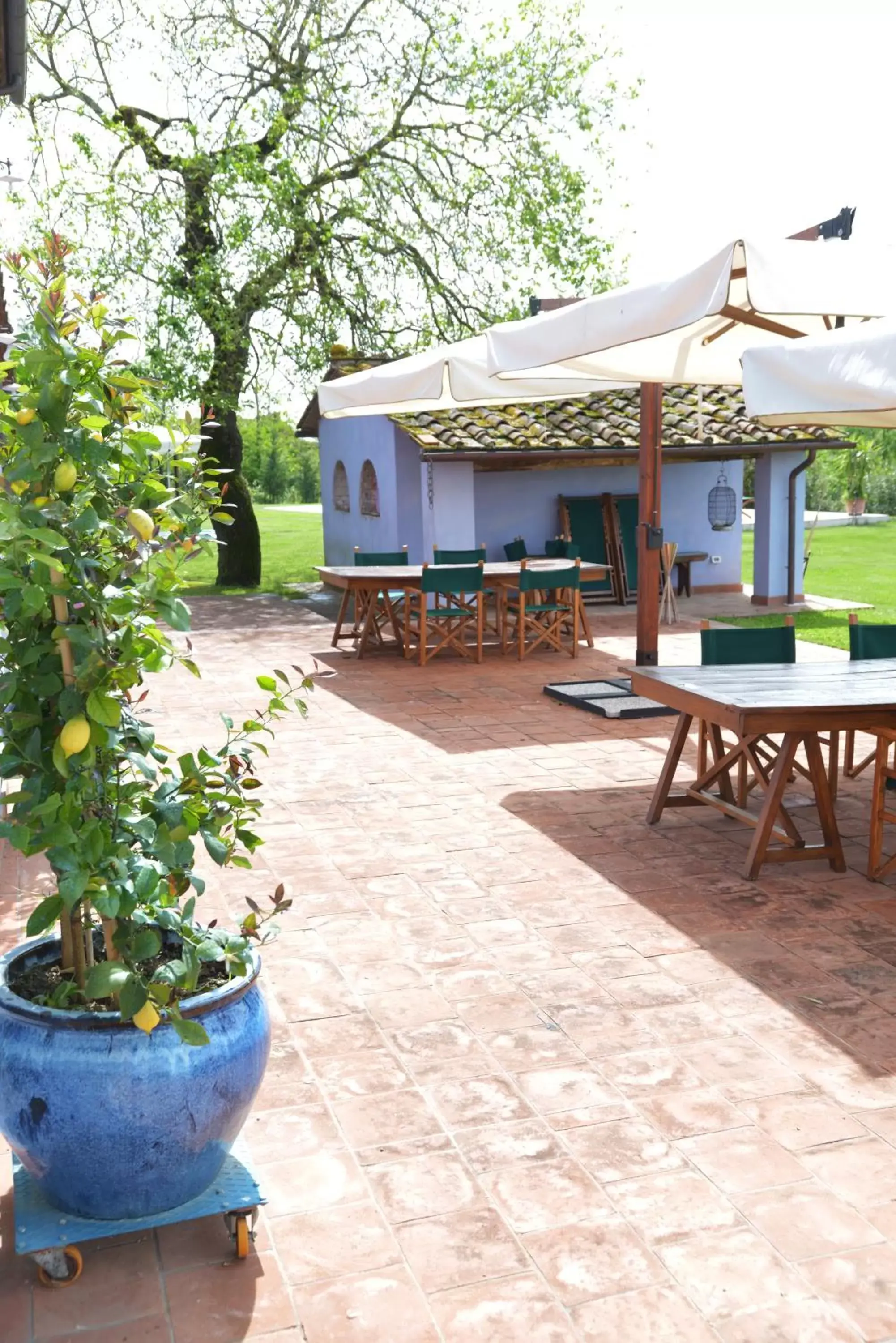 Garden view in Casa Fontanino