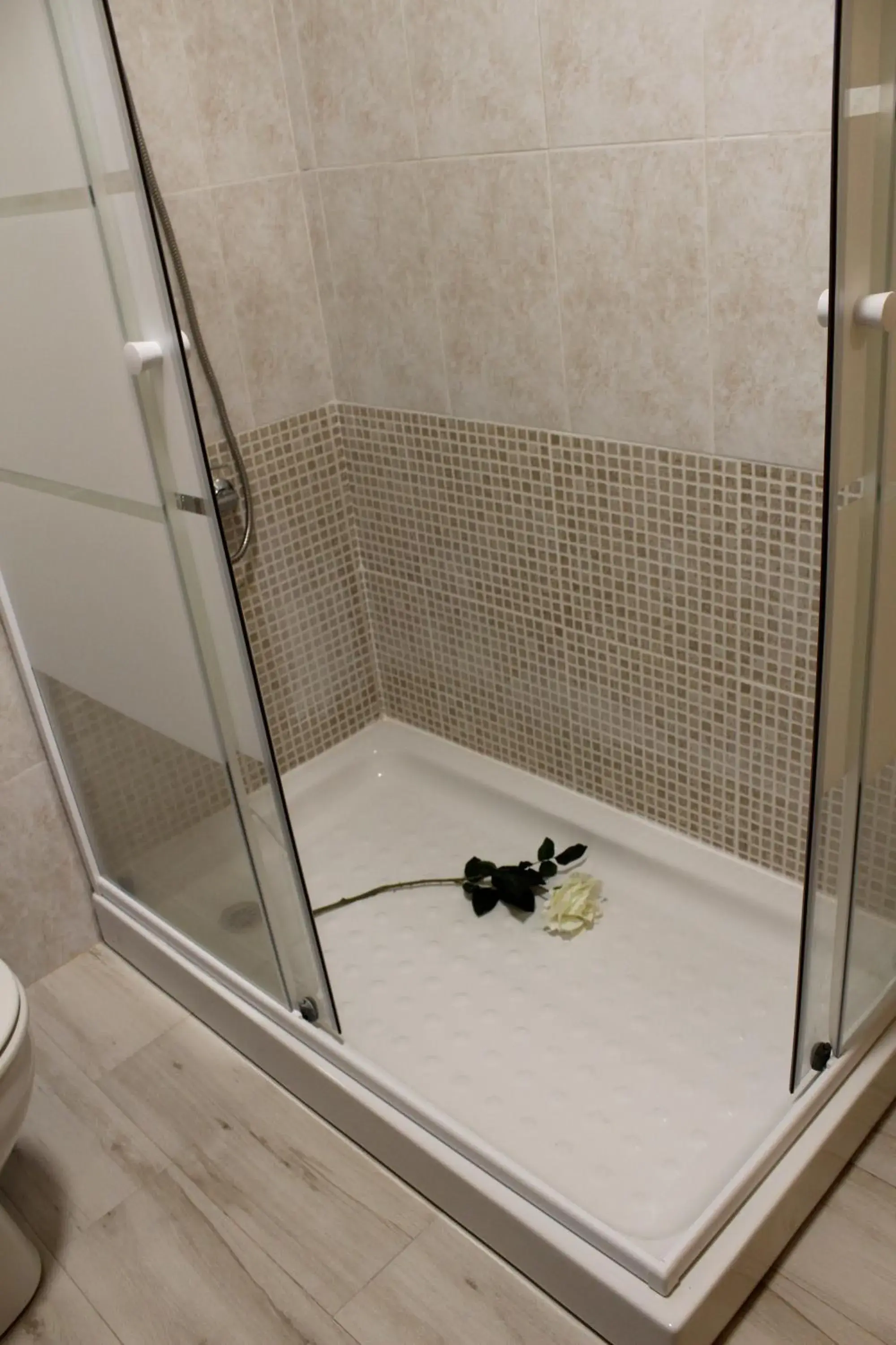Shower, Bathroom in Hotel Cuatro Caños
