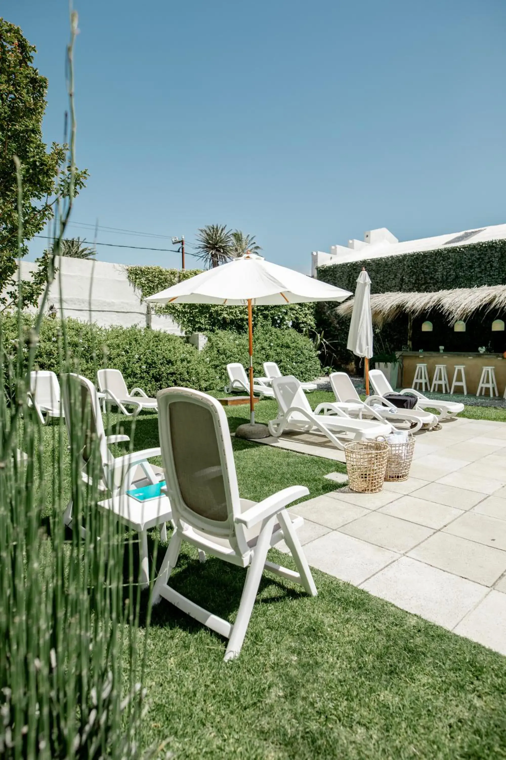 Garden in Atlantico Boutique Hotel